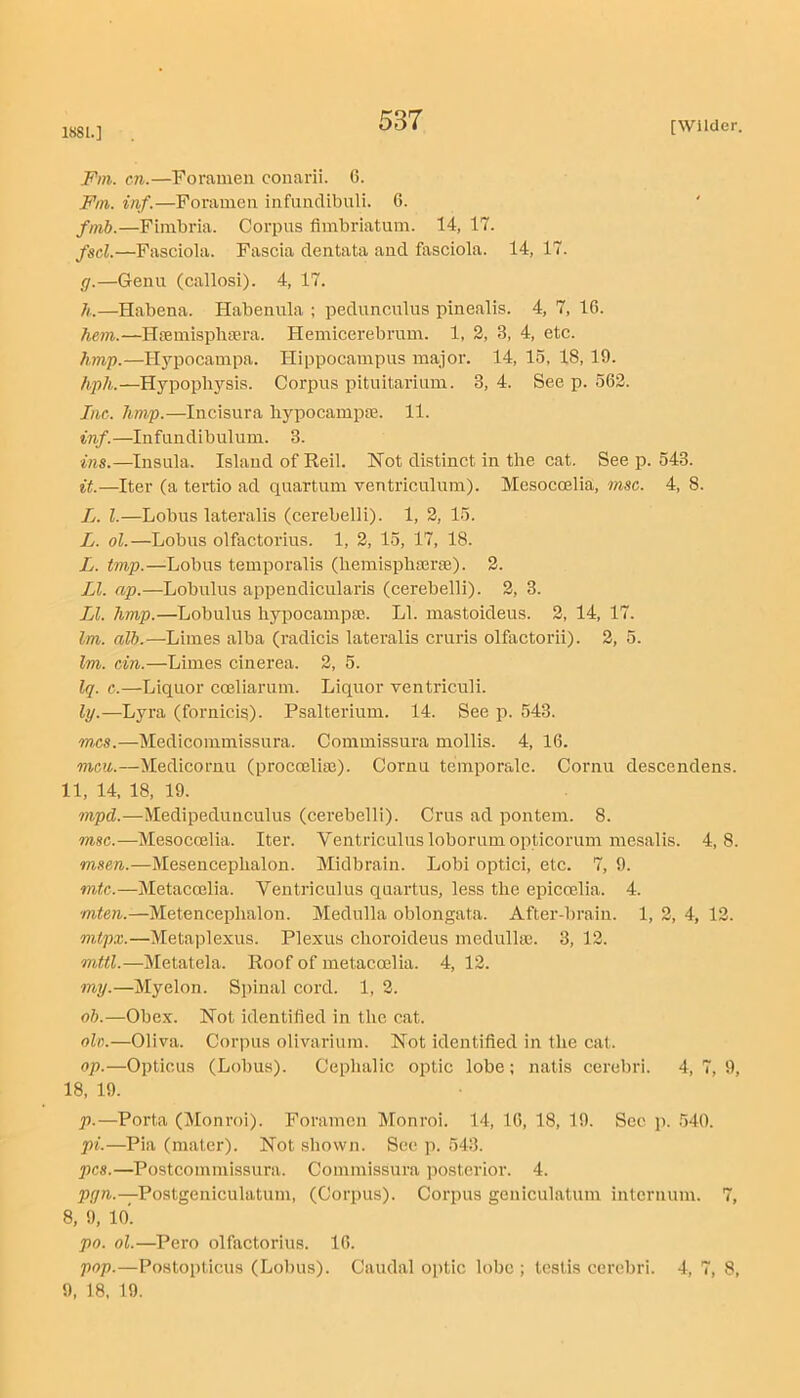 1881.] I'm. cn.—Foramen conarii. 6. Fm. inf.—Foramen infundibuli. 6. fmb.—Fimbria. Corpus fimbriatum. 14, 17. fsd.—Fasciola. Fascia dentata and fasciola. 14, 17. g. —Genu (callosi). 4, 17. h. —Habena. Habenula ; pedunculus pinealis. 4, 7, 16. hem.—Htemispbiera. Hemicerebrum. 1, 2, 3, 4, etc. hmp.—Hypocampa. Hippocampus major. 14, 15, 18, 19. hph.—Hypophysis. Corpus pituitarium. 3, 4. See p. 562. Inc. hmp.—Incisura lij^pocampie. 11. inf.—Infundibulum. 3. ins.—Insula. Island of Reil. Hot distinct in the cat. See p. 543. it.—Iter (a teitio ad quartum ventriculum). Mesocoelia, msc. 4, 8. L. 1.—Lobus lateralis (cerebelli). 1, 2, 15. L. ol.—Lobus olfactorius. 1, 2, 15, 17, 18. L. imp.—Lobus temporalis (hemisphajrse). 2. LI. ap.—Lobulus appendicularis (cerebelli). 2, 3. LI. hmp.—Lobulus hypocampae. LI. mastoideus. 2, 14, 17. Im. alb.—Limes alba (radicis lateralis cruris olfactorii). 2, 5. Im. cin.—Limes cinerea. 2, 5. Iq. c.—Liquor coeliarum. Liquor Tentriculi. ly.—Lyra (fornicis). Psalterium. 14. See p. 543. m,cs.—Medicommissura. Commissura mollis. 4, 16. men.—Medicoruu (procoeliae). Cornu temporale. Cornu descendens. 11, 14, 18, 19. mpd.—Medipedunculus (cerebelli). Crus ad pontem. 8. msc.—Mesocoelia. Iter. Ventriculus loborum opticorum mesalis. 4,8. msen.—Mesencephalon. Midbrain. Lobi optici, etc. 7, 9. mtc.—Metacoelia. Ventriculus quartus, less the epicoelia. 4. mten.—Metencephalon. Medulla oblongata. After-brain. 1, 2, 4, 12. mtpx.—Meta])lexus. Plexus choroideus medulhe. 3, 12. mttl.—Metatela. Roof of metacoelia. 4, 12. my.—Myelon. Spinal cord. 1, 2. ob.—Obex. Hot identified in the cat. olv.—Oliva. Corpus olivarium. Hot identified in the cat. op.—Opticus (Lobus). Cephalic optic lobe; natis cerebri. 4, 7, 9, 18, 19. p.—Porta (Monroi). Foramen Monroi. 14, 16, 18, 19. Sec p. 540. pi.—Pia (mater). Hot shown. See p. 543. pcs.—Postcommissura. Commissura posterior. 4. pgn.—Postgeniculatum, (Corpus). Corpus geniculatum internum. 7, 8, 9, 10. po. ol.—Pero olfactorius. 16. pop.—Postopticus (Lobus). Caudal optic lobe ; testis cerebri. 4, 7, 8, 9, 18, 19.