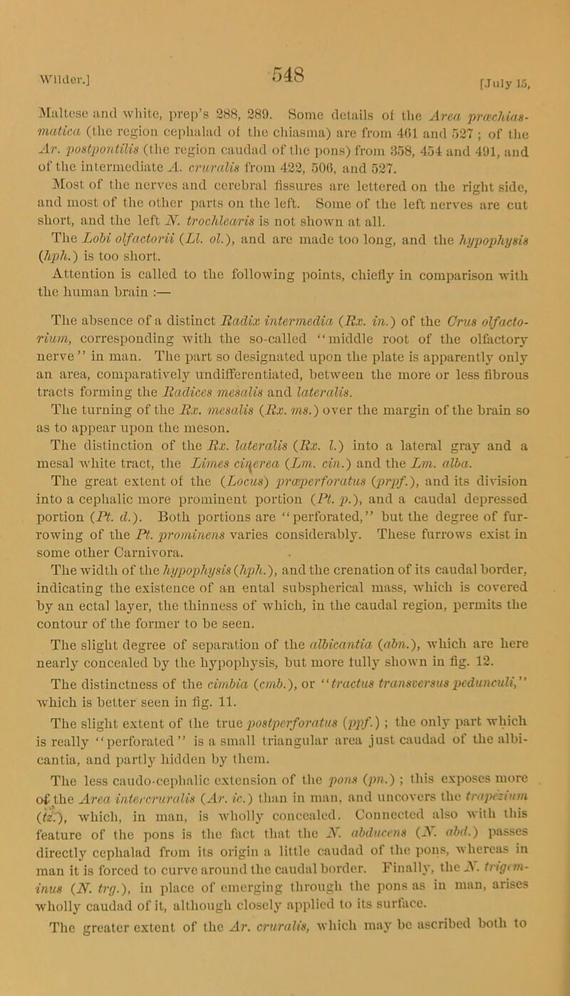 ]\[!iltcse and white, prep’s 288, 289. Some details ot the Area pmcMan- matka (tlie region cephalad ot the cluasma) are from 401 and o27 ; of the Ar. j)ostpontilis (the region caudad of tlie ])ons) from 358, 454 and 491, and of the intermediate A. cruralk from 422, 500, and 527. Most of the nerves and cerebral fissures are lettered on the right side, and most of tlie other parts on the left. Some of the left nerves are cut short, and the left iVi trochlaaris is not shown at all. The Lohi olfactorii {LI. ol.), and are made too long, and the hypophysis (hph.) is too short. Attention is called to the following points, chiefly in comparison with the human brain :— The absence of a distinct Badiv intermedia, {Rx. in.) of the Crus olfacto- rium, corresponding with the so-called “middle root of the olfactory nerve ’’ in man. The part so designated upon the plate is apparentl}' only an area, comparatively undifferentiated, between the more or less fibrous tracts forming the Radices mesalis and lateralis. The turning of the Rx. mesalis {Bx. ms.) over the margin of the hrain so as to appear upon the meson. The distinction of the Rx. lateralis {Rx. 1.) into a lateral gray and a mesal white tract, the Limes cir^erea {Lm. cin.) and the Lm. alha. The great extent of the (Zociis) p>rceperforatus {jv'pf.), and its division into a cephalic more prominent portion {Pt. p.), and a caudal depressed portion {Pt. d.). Both portions are “perforated,” but the degree of fur- rowing of the Pt. prominens varies considerably. These furrows exist in some other Carnivora. The width of the hypophysis {hph.), and the crenation of its caudal border, indicating the existence of an ental subspherical mass, which is covered by an ectal layei’, the thinness of which, in the caudal region, permits the contour of the former to be seen. The slight degree of separation of the albicantia {abn.), which are here nearly concealed by the hypopli3'sis, but more tully shown in fig. 12. The distinctness of the cimbia {cmb.), or “tractus transversus j^cduncuh,” which is better seen in fig. 11. The slight extent of the true 2mstperforatus {ppf.) ; the only part which is really “perforated” is a small ti'iangular area just caudad of the albi- cantia, and pai'tly hidden by them. The less caudo-cephalic extension of the pons {pn.) ; this exposes more of the Area intercruralis {Ar. ic.) than in man, and uncovers the trapezium (te'.'), which, in man, is wholly concealed. Connected also with this feature of the pons is the fact that the JV. abducens (A, abd.) passes directly cephalad from its origin a little caudad of the pons, whereas in man it is forced to curve around the caudal border. Finalh*, the A. trigem- inus {N. try.), in place of emerging through the pons as in man, arises wholly caudad of it, although closely applied to its surface. The greater extent of the Ar. cruralis, which maj' be ascribed both to