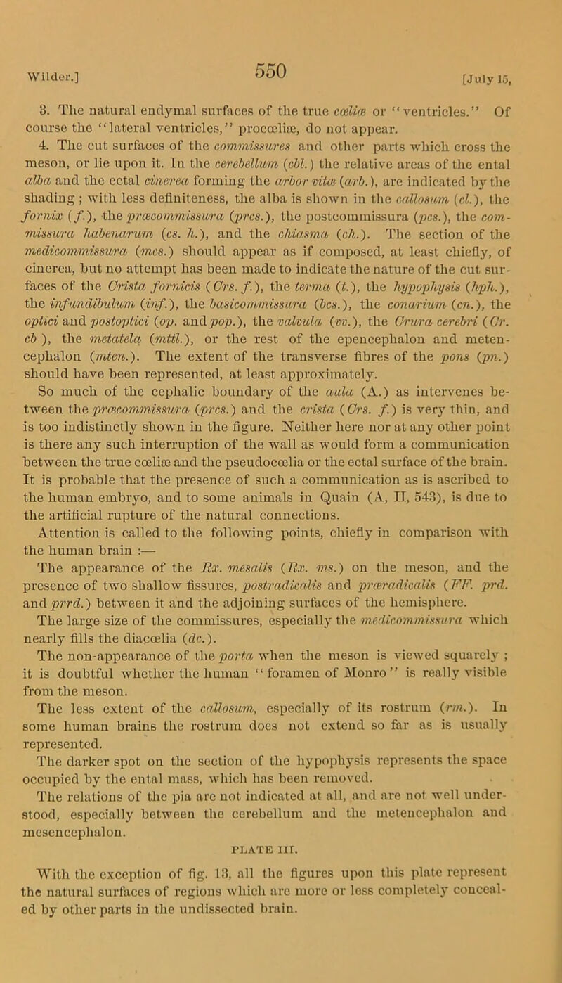 3. The natural enclymal surfaces of the true emlim or “ventricles.” Of course the “lateral ventricles,” procoelire, do not appear. 4. The cut surfaces of the commissures and other parts which cross the meson, or lie upon it. In the cerebellum {cbl.) the relative areas of the ental alba and the ectal cinerea forming the arbor vitoi {arb.), are indicated b}'' the shading ; with less definiteness, the alba is shown in the callosum {cl.), the fornix (/.), i\\Q prmcommissura (pres.), the postcomiuissura {p>cs.), the com- missura habenarum {cs. h.), and the chiasma (ch.). The section of the ■medicommissura (mcs.) should appear as if composed, at least chiefl}’’, of cinerea, but no attempt has been made to indicate the nature of the cut sur- faces of the Crista fornicis (Crs.f.), the terma (t.), the hypophysis (hph.), the infundibulum (inf), the basicommissura (bcs.), the conarium (cn.), the optici Hadpostoptici (op. nadpop.), i\\QvaUula (m.), the Crura cerebri (Gr. cb ), the metatela, (mttl.), or the rest of the epeucephalon and meten- cephalon (mten.). The extent of the transverse fibres of the pons (pn.) should have been represented, at least approximately. So much of the cephalic boundary of the aula (A.) as intervenes be- tween the prcBcommissura (pres.) and the crista (Crs. f.) is very thin, and is too indistinctly shown in the figure. Neither here nor at any other point is there any such interruption of the wall as would form a communication between the true cmlias and the pseudocoelia or the ectal surface of the brain. It is probable that the presence of such a communication as is ascribed to the human embryo, and to some animals in Quain (A, II, 543), is due to the artificial rupture of the natural connections. Attention is called to the following points, chiefly in comparison with the human brain :— The appearance of the Rx. mesalis (Rx. vis.) on the meson, and the presence of two shallow fissures, postradicalis and praradkalis (FF. prd. and^jrrd.) between it and the adjoining surfaces of the hemisphere. The large size of the commissures, especially the medicommissura which nearly fills the diaccelia (dc.). The non-appearance of the porta when the meson is viewed squarely ; it is doubtful whether the human “foramen of jNlonro” is really visible from the meson. The less extent of the callosum, especially of its rostrum (rm.). In some human brains the rostrum does not extend so far as is usually represented. The darker spot on tlie section of the hypophysis represents the space occupied by the ental mass, wdiich has been removed. The relations of the pia are not indicated at all, and are not well under- stood, especially between the cerebellum and the metencephalon and mesencepiialon. TLATE III. With the exception of fig. 13, all the figures upon this plate represent the natural surfaces of regions which are more or less completely conceal- ed by other parts in the undissected brain.