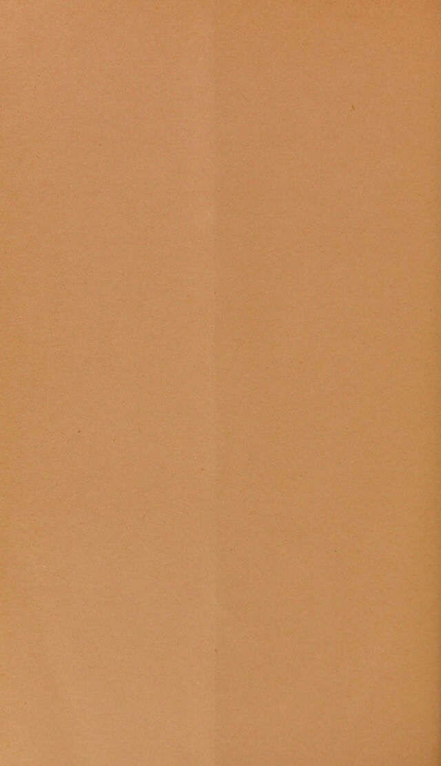 digitised image 2