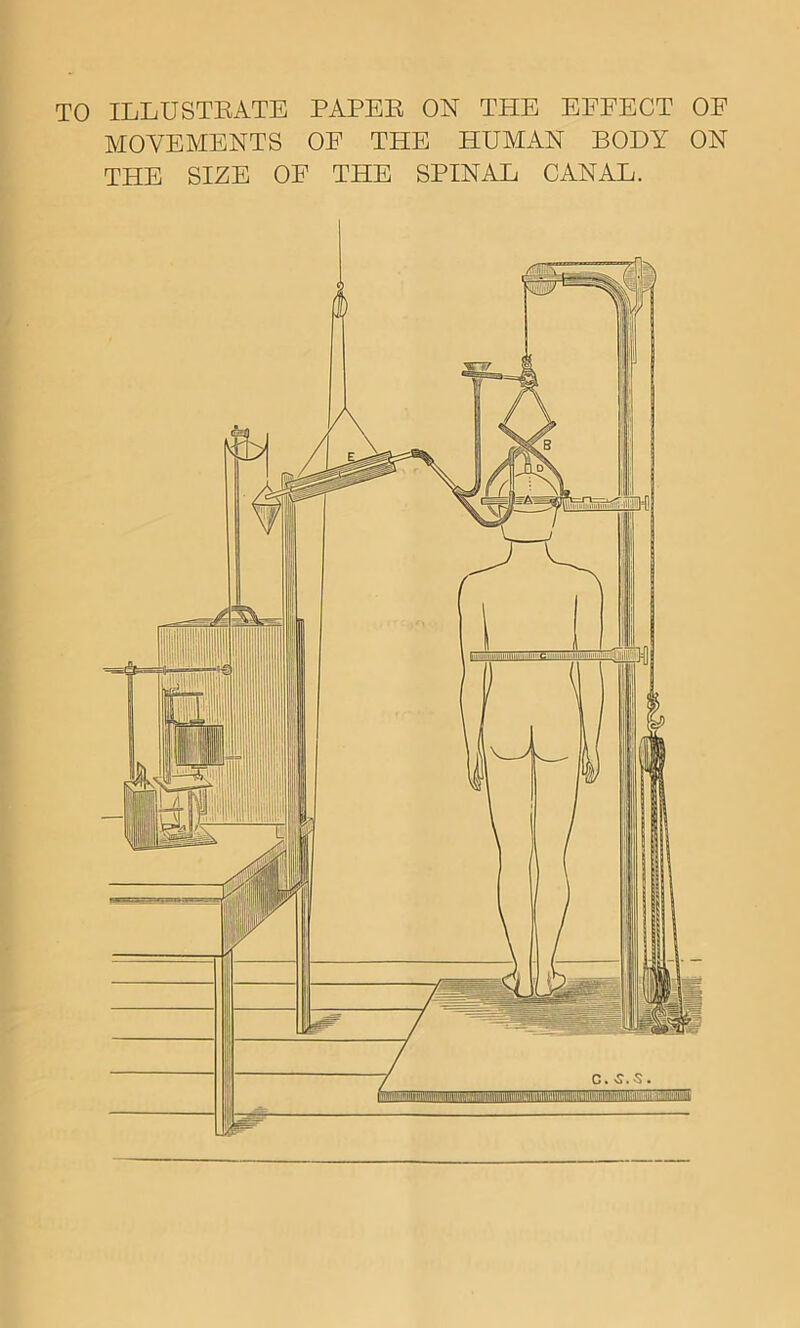 TO ILLUSTEATB PAPEE ON THE EFFECT OF MOVEMENTS OE THE HUMAN BODY ON THE SIZE OE THE SPINAL CANAL.