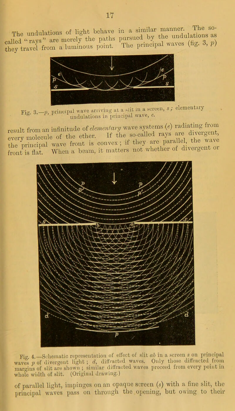The undulations of light behave called “ rays ” are merely the paths they travel from a luminous point. in a similar manner. The so- piirsued by the undulations as 'fhe principal waves (fig. 3, p) result from an infinitude of wave systems (e) radiating from X molecule of the ether. If the so-called rays ate d.rergeut the principal wave front is convex; if they are paiallel, the c front is flat. When a beam, it matters not whether of divergent o Fif, 4._Siihcinatic representation of ellcct of slit ab in a screen s on principal waves'2? of divergent light; d, dilVracted waves. Only those dilPaeted from margins of slit are shown ; similar dilfraeted waves proceed from every {mint in whoFe width of slit. (Original drawing.) of parallel light, impinges on an opaque screen (s) with a fine slit, the principal waves pass on through the opening, but owing to tlieir