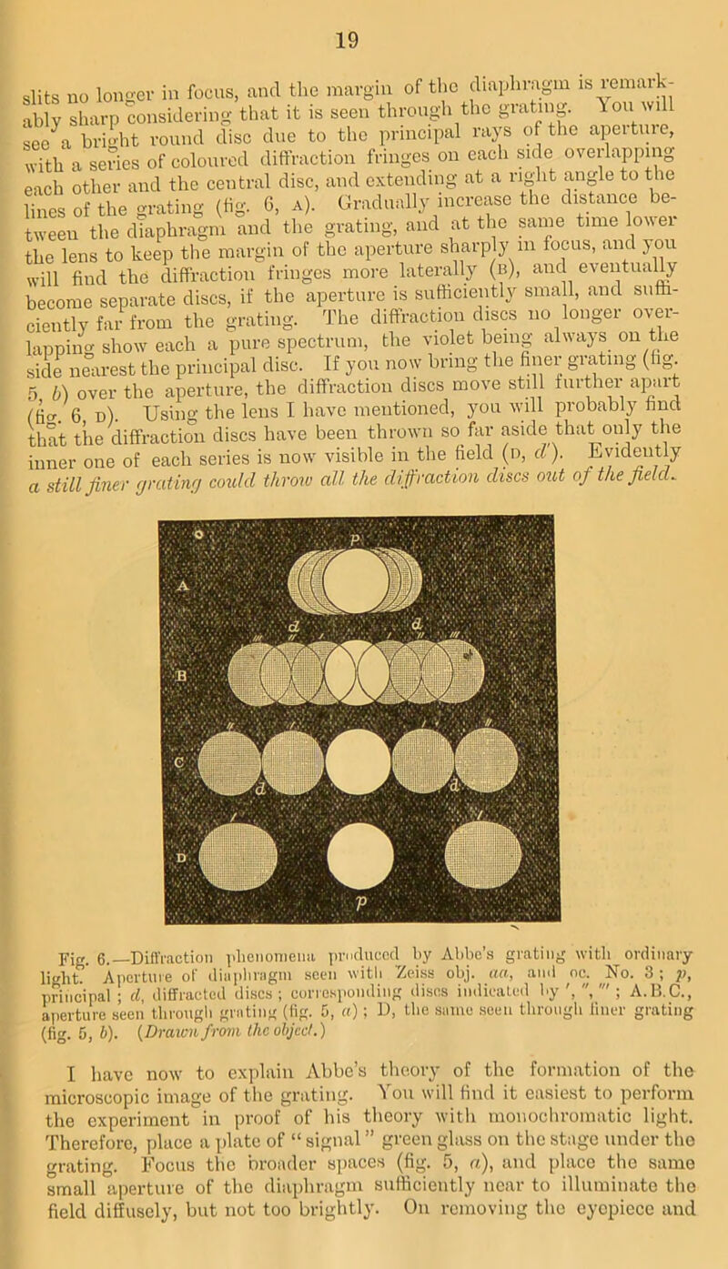 slits no longer in focus, and the margin of the diapluagm is lenuuk- ably sharp considering that it is seen through the grating You will see a bri<>ht round disc due to the principal rays of the apeitiue, with a series of coloured diffraction fringes on each side overlapping each other and the central disc, and extending at a right angle to the hues of the grating (tig. G, a). Gradually increase the distance be- tween the diaphragm and the grating, and at the same time lo^^el the lens to keep tlie margin of the aperture sharply in focus, and you will find the diffraction fringes more laterally (b), and e\entually become separate discs, if the aperture is sufiiciently small, and suffi- ciently far from the grating. The diffraction discs no longer over- lapping show each a pure spectrum, the violet being always on the side nearest the principal disc. If you now bring the finer grating (hg. 5 b) over the aperture, the diffraction discs move still turther apart (fio-. 6 p). Using the lens I have mentioned, you will probably find that the diffraction discs have been thrown so far aside that only the inner one of each series is now visible in the field (n, d). Evidently a still jinev ffratinfj could throw all the dijjraction discs out of the jield^ Fig. 6.—Difl'raction plieiionienu prnduccd by Abbe’s grating with ordinary light. Ancrtuie of dia|ibriigni seen witli ^eiss obj. aa, and nc. No. 3; p, principal ; rf, diffracted discs ; corresponding discs indicated by , ; A.H.C., a|)erture seen tlirongli grating (fig. 5, «); U, the same .seen throngli liner grating (fig. 5, b). {Dmiciifrom the object.) I have now to explain Abbe’s theory of the formation of the microscopic image of the grating. You will find it easiest to perform the experiment in proof of his tlieory witli monochromatic light. Therefore, place a plate of “ signal ” green glass on the stage under the grating. Focus the broader spaces (fig. 5, a), and place the same small aperture of the diaphragm sufficiently near to illuminate tlie field diffusely, but not too brightly. On removing the eyepiece and