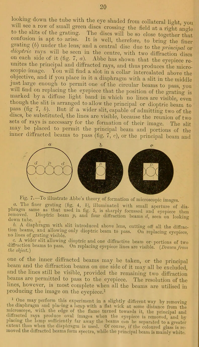 looking down the tube with tlie eye shaded from collateral light yon will see a row of small green discs crossing the field at a right M<de to the slits of the grating. The discs will be so close together that confusion is apt to arise. It is well, therefore, to bring the finer grating {/j) under the lens, and a central disc due to the 'principal or diojotric rays will be seen in the centre, with two diffraction discs on each side of it (fig. 7, a). Abbe has shown that the eyepiece re- unites the principal and diffracted rays, and thus produces the micro- scopic image. You will find a slot in a collar intercalated above the objective, and if yon place in it a diaphragm with a slit in the middle just large enough to permit one of the circular beams to pass, you will find on replacing the eyepiece that the position of the gratiin^ is marked by a diffuse light band in which no lines are visible, m^en though the slit is arranged to allow tlie principal or diopti'ic beam to pass (fig /, h). But it a wider slit, capable of admitting two of the discs, be substituted, the lines are visible, because the reunion of two sets of rays is necessary for the formation of their image. The .slit may be placed to permit the principal beam and portions of the innei diffracted beams to pass (fig. 7, c), or the principal beam and Fig. 7. To illustrate Abbe s theory of foraiatioii of microscopic images. «. The finer grating (fig. 4, 6), illuminateil with small aperture of dia- phragm .sanm as that used in fig. 5, is sharply focussed and eyepiece then removed Dioptric beam p, and four diffraction beams d, seen on lookin^r down tube. ° h. A diaphragm with slit introduced above lens, cutting off all the diffi-ac- tion beams, and allowing only dioptric beam to pass. On replacin'^ evepiece no lines of grating visible. o v i ilioptric and one diffractive beam or-portions of two diftraction beams to pass. On replacing eyepiece lines are visible. (Dimcn from the object.) one of the inner diffracted beams may be taken, or tlie jiriucipal beam and the diftraction beams on one side of it may all be excluded, and the lines still be visible, provided the remaining two diffraction beams are permitted to pass to the eyepiece. The resolution of the lines, however, is most complete when all the beams are utilised in lu-oducing the image on the eyepiece.^ * One may perform Ibis e.xperiinent in a slightly different way by removing the diajdiragm and plai-ing a hmip with a Hat wick at some distance from the niicroscope, witli tlie edge of the llame turned towards it, the jirincipal .and diffracted rays iiroduce oval images when the eyepiece is removed, and bv idacing the lamp sulliciently far away the beams can be separated to a greater e.\tent than when the diaplmigni is used. Of course, if the coloured friass is re- moved the diilracted beams foi-in spectra, while the ju-incipal beam is mainlv white.