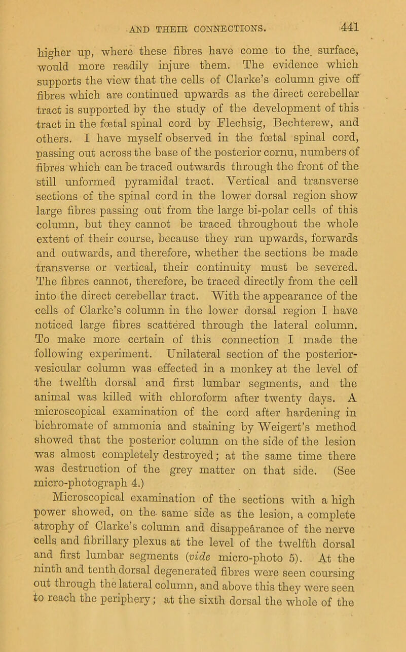 higher up, where these fibres have come to the. surface, would more readily injure them. The evidence which supports the view that the cells of Clarke’s column give off fibres which are continued upwards as the direct cerebellar ■tract is supported by the study of the development of this tract in the foetal spinal cord by Flechsig, Bechterew, and others. I have myself observed in the foetal spinal cord, passing out across the base of the posterior cornu, numbers of fibres which can be traced outwards through the front of the still unformed pyramidal tract. Vertical and transverse sections of the spinal cord in the lower dorsal region show large fibres passing out from the large bi-polar cells of this column, hut they cannot be traced throughout the whole extent of their course, because they run upwards, forwards and outwards, and therefore, whether the sections be made transverse or vertical, their continuity must be severed. The fibres cannot, therefore, be traced directly from the cell into the direct cerebellar tract. With the appearance of the cells of Clarke’s column in the lower dorsal region I have noticed large fibres scattered through the lateral column. To make more certain of this connection I made the following experiment. Unilateral section of the posterior- vesicular column was effected in a monkey at the level of the twelfth dorsal and first lumbar segments, and the animal was killed with chloroform after twenty days. A microscopical examination of the cord after hardening in bichromate of ammonia and staining by Weigert’s method showed that the posterior column on the side of the lesion was almost completely destroyed; at the same time there was destruction of the grey matter on that side. (See micro-photograph 4.) Microscopical examination of the sections with a high power showed, on the- same side as the lesion, a complete atrophy of Clarke’s column and disappeS-rance of the nerve cells and fibrillary plexus at the level of the twelfth dorsal and first lumbar segments {vide micro-photo 5). At the ninth and tenth dorsal degenerated fibres were seen coursing out through the lateral column, and above this they were seen to reach the periphery; at the sixth dorsal the whole of the