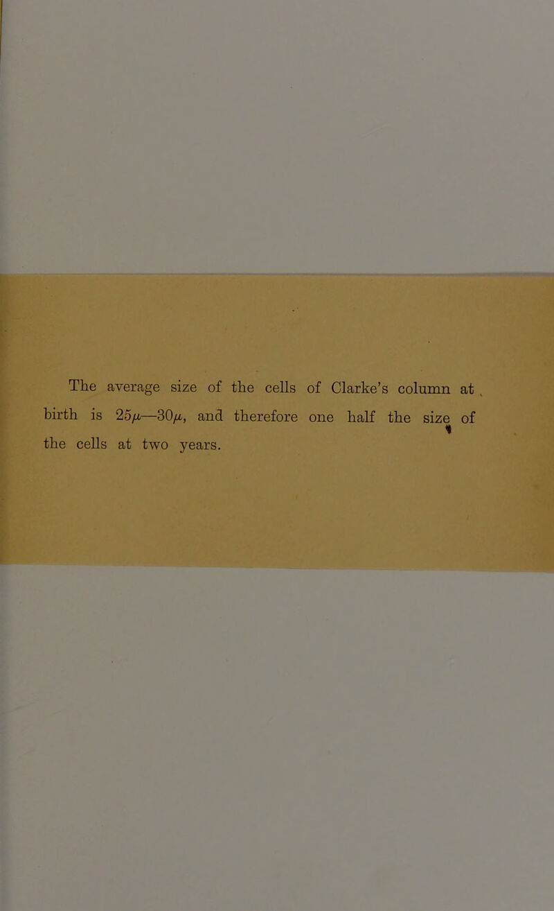 The average size of the cells of Clarke’s column at. birth is 25/i—30/i, and therefore one half the size of the cells at two years.