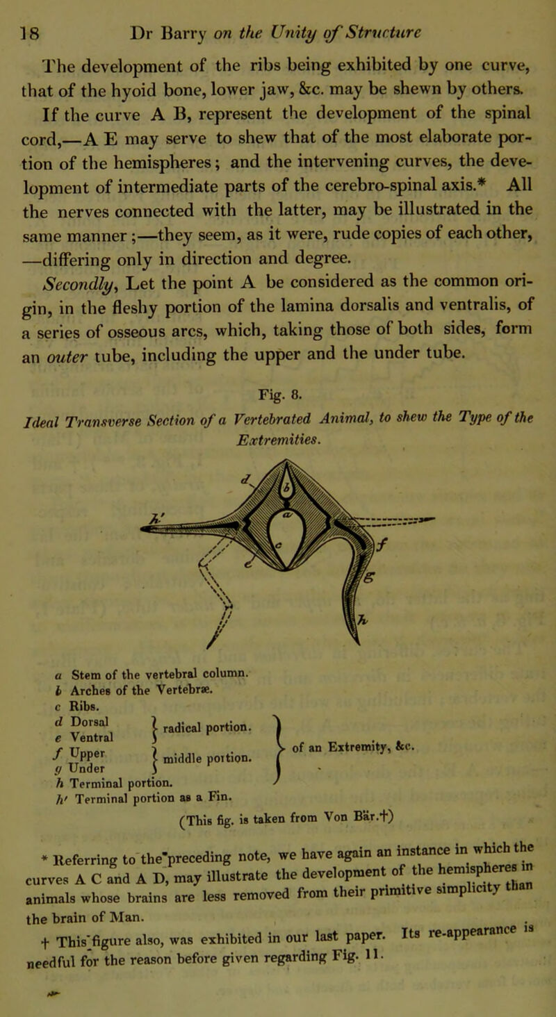 The development of the ribs being exhibited by one curve, that of the hyoid bone, lower jaw, &c. may be shewn by others. If the curve A B, represent the development of the spinal cord, A E may serve to shew that of the most elaborate por- tion of the hemispheres; and the intervening curves, the deve- lopment of intermediate parts of the cerebro-spinal axis.* All the nerves connected with the latter, may be illustrated in the same manner;—they seem, as it were, rude copies of each other, —differing only in direction and degree. Secondly, Let the point A be considered as the common ori- gin, in the fleshy portion of the lamina dorsalis and ventralis, of a series of osseous arcs, which, taking those of both sides, form an outer tube, including the upper and the under tube. Ideal Transverse Section of a Vertebrated Animal, to shew the Type of the Fig. 8. Extremities. a Stem of the vertebral column. b Arches of the Vertebr*. c Ribs. e Ventral / Upper y Under h Terminal port.™. h' Terminal portion as a Fin. Dorsal Ventral (ThiB fig. is taken from Von Bar.f) hrnin of Man. needful for the reason before given regarding Fig.