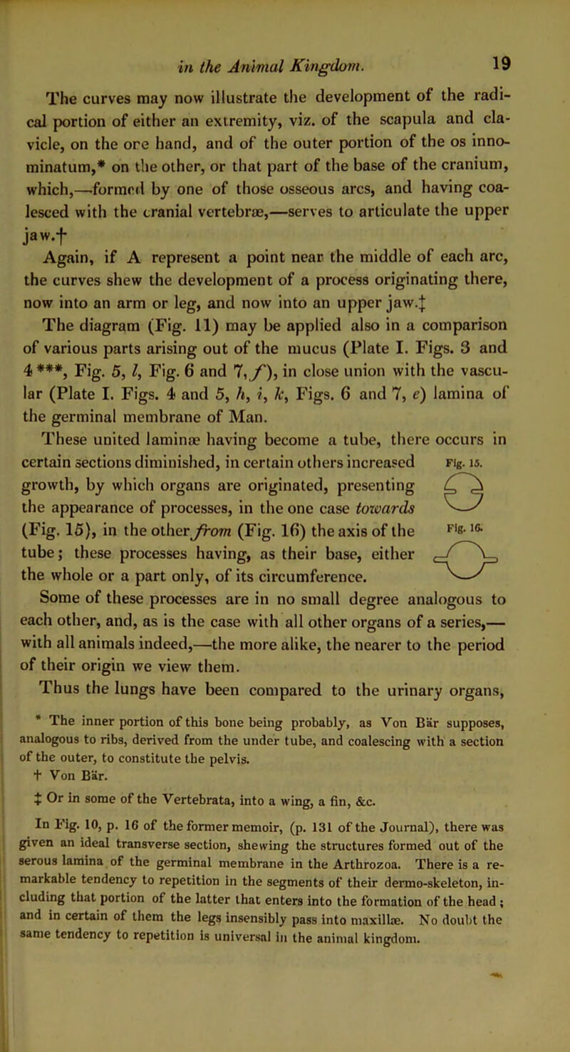 The curves may now illustrate the development of the radi- cal portion of either an extremity, viz. of the scapula and cla- vicle, on the ore hand, and of the outer portion of the os inno- minatum,* on the other, or that part of the base of the cranium, which,—formed by one of those osseous arcs, and having coa- lesced with the cranial vertebra;,—serves to articulate the upper jaw.f Again, if A represent a point near the middle of each arc, the curves shew the development of a process originating there, now into an arm or leg, and now into an upper jaw.J The diagram (Fig. 11) may be applied also in a comparison of various parts arising out of the mucus (Plate I. Figs. 3 and 4 ***, Fig. 5, l, Fig. 6 and 7, f), in close union with the vascu- lar (Plate I. Figs. 4 and 5, h, i, k, Figs. 6 and 7, e) lamina of the germinal membrane of Man. These united laminae having become a tube, there occurs in certain sections diminished, in certain others increased Fig. u. growth, by which organs are originated, presenting the appearance of processes, in the one case towards (Fig. 15), in the other from (Fig. 16) the axis of the tube; these processes having, as their base, either the whole or a part only, of its circumference. Some of these processes are in no small degree analogous to each other, and, as is the case with all other organs of a series,— with all animals indeed,—the more alike, the nearer to the period of their origin we view them. Thus the lungs have been compared to the urinary organs, Fig. 16. * The inner portion of this bone being probably, as Von Bar supposes, analogous to ribs, derived from the under tube, and coalescing with a section of the outer, to constitute the pelvis. + Von Bar. X Or in some of the Vertebrata, into a wing, a fin, &c. In Fig. 10, p. 16 of the former memoir, (p. 131 of the Journal), there was given an ideal transverse section, shewing the structures formed out of the serous lamina of the germinal membrane in the Arthrozoa. There is a re- markable tendency to repetition in the segments of their dermo-skeleton, in- cluding that portion of the latter that enters into the formation of the head ; and in certain of them the legs insensibly pass into maxillae. No doubt the same tendency to repetition is universal in the animal kingdom.