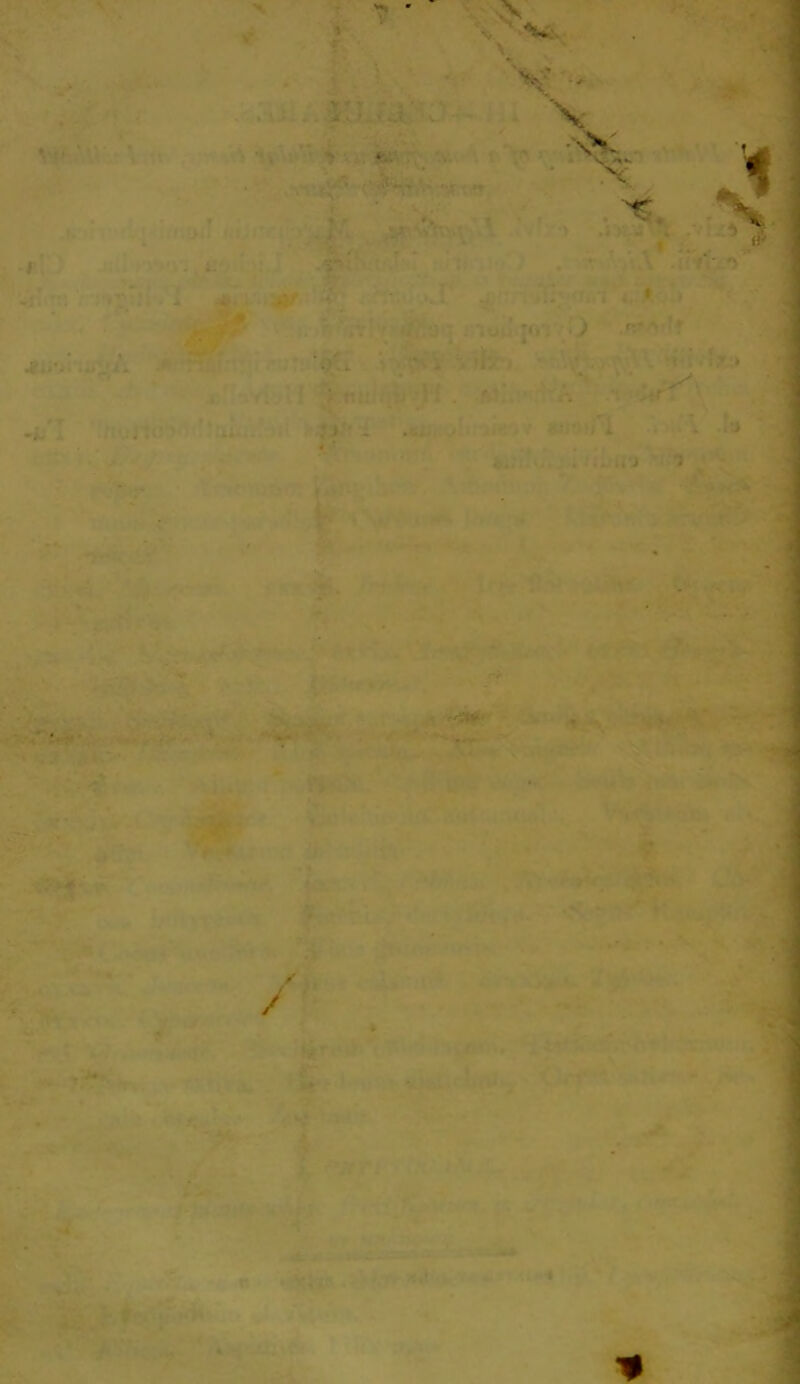 \ !• ‘ ■V' * x * ./■ 1 .i i/.k i JQ ) FT' ' J :•/ ■ ‘f/.i • - . ' * . f .j. ... .> . - > *. ; . . j •> .