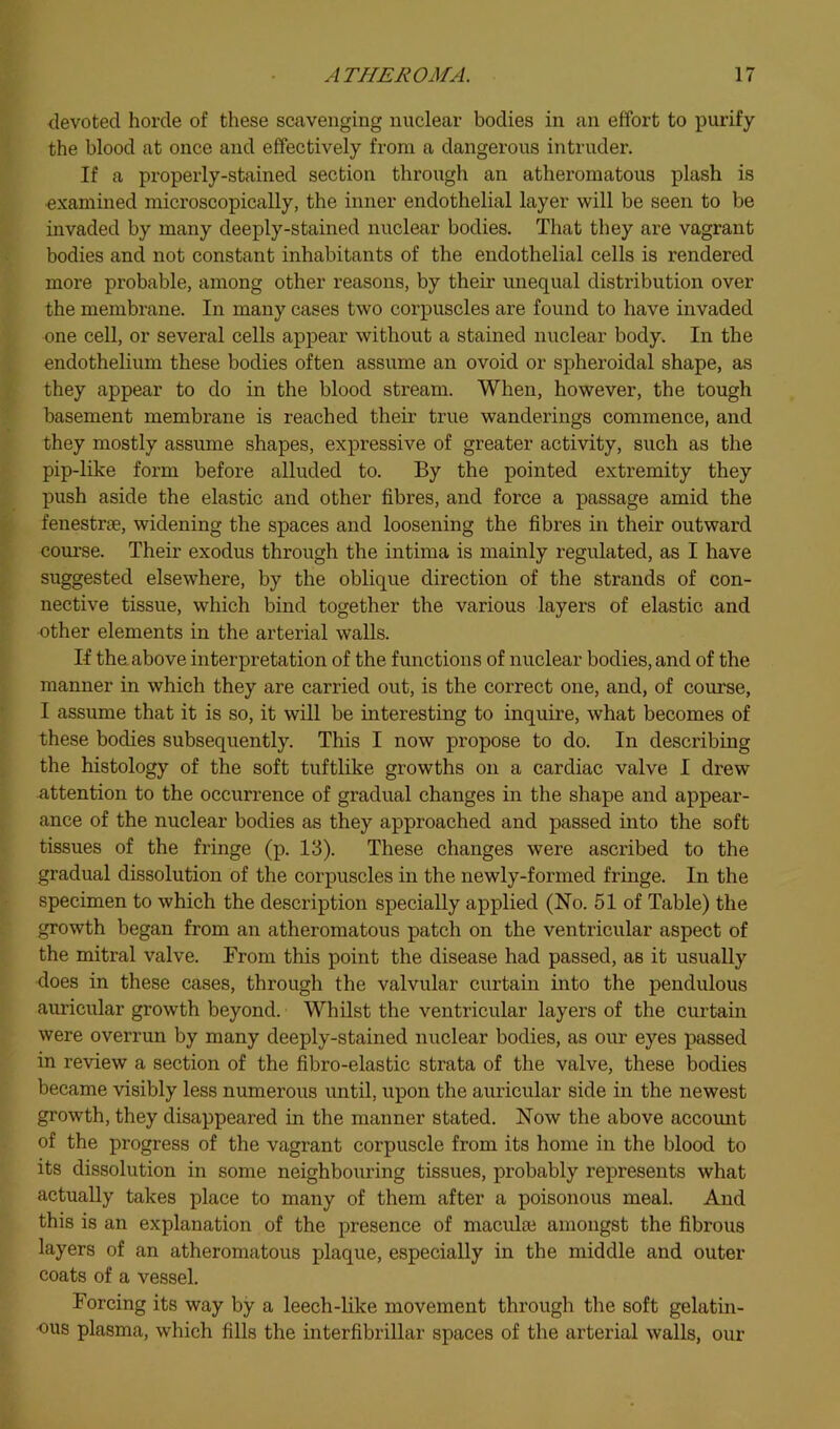 devoted horde of these scavenging nuclear bodies in an effort to purify the blood at once and effectively from a dangerous intruder. If a properly-stained section through an atheromatous plash is examined microscopically, the inner endothelial layer will be seen to be invaded by many deeply-stained nuclear bodies. That they are vagrant bodies and not constant inhabitants of the endothelial cells is rendered more probable, among other reasons, by their unequal distribution over the membrane. In many cases two corpuscles are found to have invaded one cell, or several cells appear without a stained nuclear body. In the endothelium these bodies often assume an ovoid or spheroidal shape, as they appear to do in the blood stream. When, however, the tough basement membrane is reached their true wanderings commence, and they mostly assume shapes, expressive of greater activity, such as the pip-like form before alluded to. By the pointed extremity they push aside the elastic and other fibres, and force a passage amid the fenestrae, widening the spaces and loosening the fibres in their outward course. Their exodus through the intima is mainly regixlated, as I have suggested elsewhere, by the oblique direction of the strands of con- nective tissue, which bind together the various layers of elastic and other elements in the arterial walls. If the above interpretation of the functions of nuclear bodies, and of the manner in which they are carried out, is the correct one, and, of course, I assume that it is so, it will be interesting to inquire, what becomes of these bodies subsequently. This I now propose to do. In describing the histology of the soft tuftlike growths on a cardiac valve I drew attention to the occurrence of gradual changes in the shape and appear- ance of the nuclear bodies as they approached and passed into the soft tissues of the fringe (p. 13). These changes were ascribed to the gradual dissolution of the corpuscles in the newly-formed fringe. In the specimen to which the description specially applied (No. 51 of Table) the growth began from an atheromatous patch on the ventricular aspect of the mitral valve. From this point the disease had passed, as it usually does in these cases, through the valvular curtain into the pendulous auricular growth beyond. Whilst the ventricular layers of the curtain were overrun by many deeply-stained nuclear bodies, as our eyes passed in review a section of the fibro-elastic strata of the valve, these bodies became visibly less numerous imtil, upon the auricular side in the newest growth, they disappeared in the manner stated. Now the above account of the progress of the vagrant corpuscle from its home in the blood to its dissolution in some neighbouring tissues, probably represents what actually takes place to many of them after a poisonous meal. And this is an explanation of the presence of macvdai amongst the fibrous layers of an atheromatous plaque, especially in the middle and outer coats of a vessel. Forcing its way by a leech-like movement through the soft gelatin- ous plasma, which fills the interfibrillar spaces of the arterial walls, our