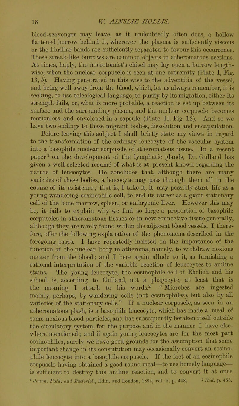 blood-scavenger may leave, as it undoubtedly often does, a hollow flattened burrow behind it, wherever the plasma is sufficiently viscous or the fibrillar bands are sufficiently separated to favour this occurrence. These streak-like burrows are common objects in atheromatous sections. At times, haply, the microtomist’s chisel may lay open a burrow length- wise, when the nuclear corpuscle is seen at one extremity (Plate I, Fig. 13, V). Having penetrated in this wise to the adventitia of the vessel, and being well away from the blood, which, let us always remember, it is seeking, to use teleological language, to purify by its migration, either its strength fails, or, what is more probable, a reaction is set up between its surface and the surrounding plasma, and the nuclear corpuscle becomes motionless and enveloped in a capsule (Plate II. Fig. 12). And so we have two endings to these migrant bodies, dissolution and encapsulation. Before leaving this subject I shall briefly state my views in regard to the transformation of the ordinary leucocyte of the vascular system into a basophile nuclear corpuscle of atheromatous tissue. In a recent paper ^ on the development of the lymphatic glands. Dr. Gulland has given a well-selected resume of what is at present known regarding the nature of leucocytes. He concludes that, although there are many varieties of these bodies, a leucocyte may pass through them all in the course of its existence; that is, I take it, it may possibly start life as a young wandering eosinophile cell, to end its career as a giant stationary cell of the bone marrow, spleen, or embryonic liver. However this may be, it fails to explain why we find so large a proportion of basophile corpuscles in atheromatous tissues or in new connective tissue generally, although they are rarely found within the adjacent blood vessels. I, there- fore, offer the following explanation of the phenomena described in the foregoing pages. I have repeatedly insisted on the importance of the function of the nuclear body in atheroma, namely, to withdraw noxious matter from the blood; and I here again allude to it, as firrnishing a rational interpretation of the variable reaction of leucocytes to aniline stains. The young leucocyte, the eosinophile cell of Ehrlich and his school, is, according to Gulland, not a phagocyte, at least that is the meaning I attach to his words.^ “ Microbes are ingested mainly, perhaps, by wandering cells (not eosinophiles), but also by all varieties of the stationary cells.” If a nuclear corpuscle, as seen in an atheromatous plash, is a basophile leucocyte, which has made a meal of some noxious blood particles, and has subsequently betaken itself outside the circulatory system, for the purpose and in the manner I have else- where mentioned; and if again young leucocytes are for the most part eosinophiles, surely we have good grounds for the assumption that some important change in its constitution may occasionally convert an eosino- phile leucocyte into a basophile corpuscle. If the fact of an eosinophile corpuscle having obtained a good round meal—to use homely language— is sufficient to destroy this aniline reaction, and to convert it at once ^ Joum, Path, and BactcrioL, Ecliii. and London, 1894, vol. ii. p. 448. -Ibid, p. 458.
