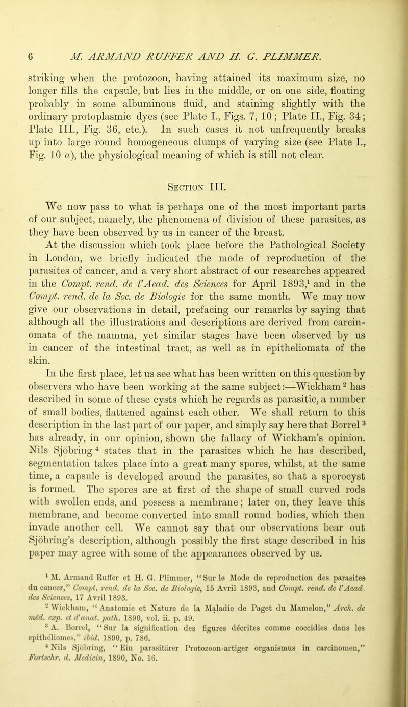 striking when the protozoon, having attained its maximum size, no longer fills the capsule, but lies in the middle, or on one side, floating probably in some albuminous fluid, and staining slightly with the ordinary protoplasmic dyes (see Plate I., Figs. 7, 10 ; Plate II., Fig. 34; Plate III., Fig. 36, etc.). In such cases it not unfrequently breaks up into large round homogeneous clumps of varying size (see Plate I., Fig. 10 a), the physiological meaning of which is still not clear. Section III. We now pass to what is perhaps one of the most important parts of our subject, namely, the phenomena of division of these parasites, as they have been observed by us in cancer of the breast. At the discussion which took place before the Pathological Society in London, we briefly indicated the mode of reproduction of the parasites of cancer, and a very short abstract of our researches appeared in the Compt. rend, de l’Acad, dcs Sciences for April 1893,1 and in the Compt. rend, de la Soc. de Biolocjie for the same month. We may now give our observations in detail, prefacing our remarks by saying that although all the illustrations and descriptions are derived from carcin- omata of the mamma, yet similar stages have been observed by us in cancer of the intestinal tract, as well as in epitheliomata of the skin. In the first place, let us see what has been written on this question by observers who have been working at the same subject:—Wickham2 has described in some of these cysts which he regards as parasitic, a number of small bodies, flattened against each other. We shall return to this description in the last part of our paper, and simply say here that Borrel3 has already, in our opinion, shown the fallacy of Wickham’s opinion. Nils Sjobring4 states that in the parasites which he has described, segmentation takes place into a great many spores, whilst, at the same tune, a capsule is developed around the parasites, so that a sporocyst is formed. The spores are at first of the shape of small curved rods with swollen ends, and possess a membrane; later on, they leave this membrane, and become converted into small round bodies, which then invade another cell. We cannot say that our observations bear out Sjobring’s description, although possibly the first stage described in his paper may agree with some of the appearances observed by us. 1 M. Arrnand Ruffer ct H. G. Plimmer, “Surle Mode de reproduction des parasites du cancer,” Compt. rend, de la Soc. de Biolocjie, 15 Avril 1893, and Compt. rend, de l’Acad, dcs Sciences, 17 Avril 1893. 2 Wickham, “ Anatomie et Nature de la Maladie de Paget du Mamelon,” Arch, de mid. ex)), ct d'anat. path. 1890, vol. ii. p. 49. 3 A. Borrel, “Sur la signification des figures dderites comme coccidies dans les epithcliomes, ibid. 1890, p. 786. 4 Nils Sjobring, “ Ein parasitiirer Protozoon-artiger organismus in carcinomen,” Fortschr. d. Medicin, 1890, No. 16.