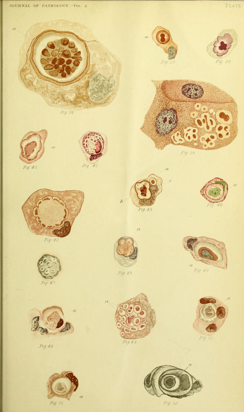 Fig 47 Fig 51 Fig 52