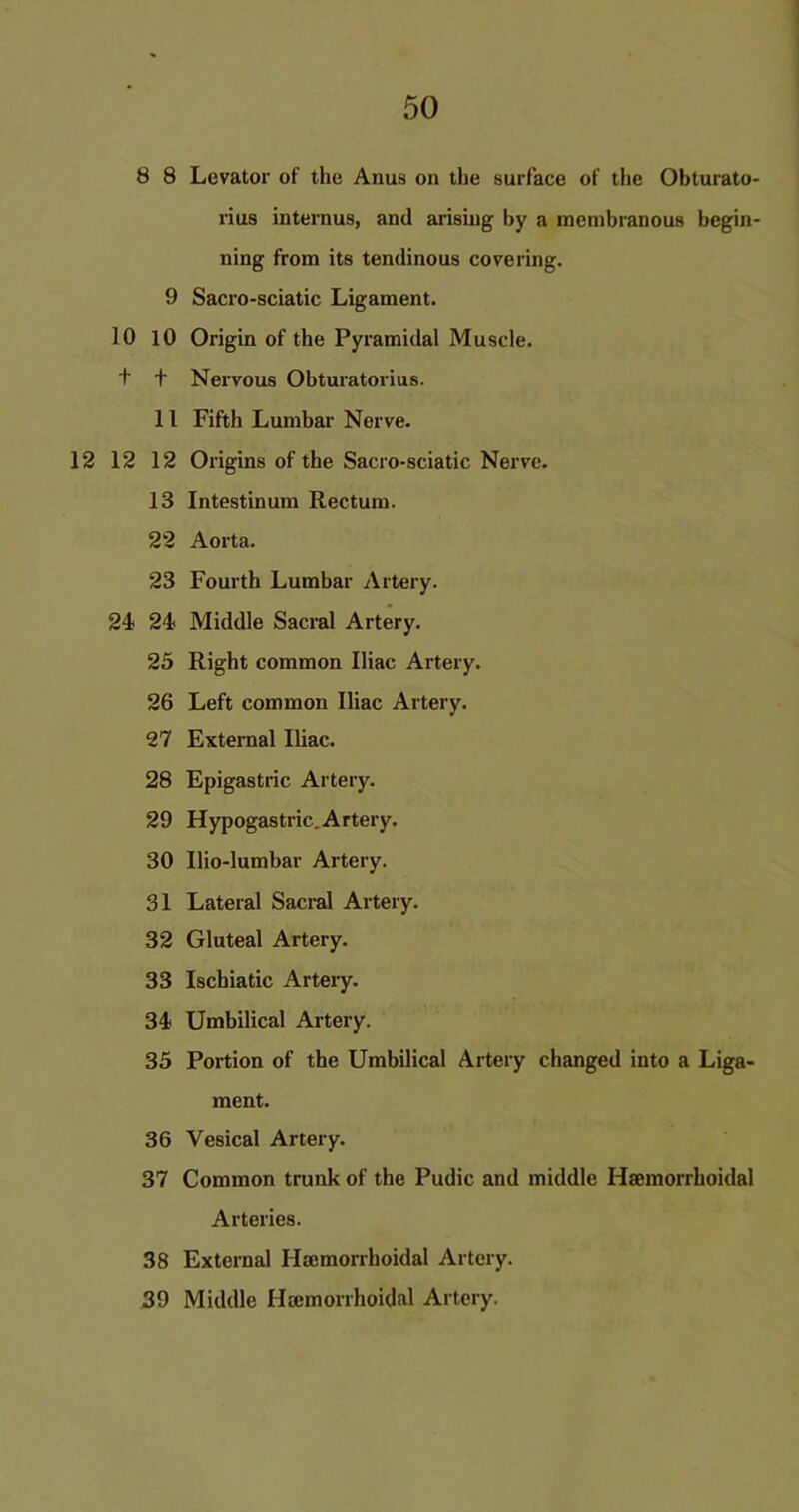 8 8 Levator of the Anus on the surface of the Obturato- rius internus, and arising by a membranous begin- ning from its tendinous covering. 9 Sacro-sciatic Ligament. 10 10 Origin of the Pyramidal Muscle, t t Nervous Obturatorius. 11 Fifth Lumbar Nerve. 12 12 12 Origins of the Sacro-sciatic Nerve. 13 Intestinum Rectum. 22 Aorta. 23 Fourth Lumbar Artery. 24 24 Middle Sacral Artery. 25 Right common Iliac Artery. 26 Left common Iliac Artery. 27 External Iliac. 28 Epigastric Artery. 29 Hypogastric.Artery. 30 Ilio-lumbar Artery. 31 Lateral Sacral Artery. 32 Gluteal Artery. 33 Iscbiatic Artery. 34 Umbilical Artery. 35 Portion of the Umbilical Artery changed into a Liga- ment. 36 Vesical Artery. 37 Common trunk of the Pudic and middle Haemorrkoidal Arteries. 38 External Hremorrhoidal Artery. 39 Middle Hccmorrhoidal Artery.