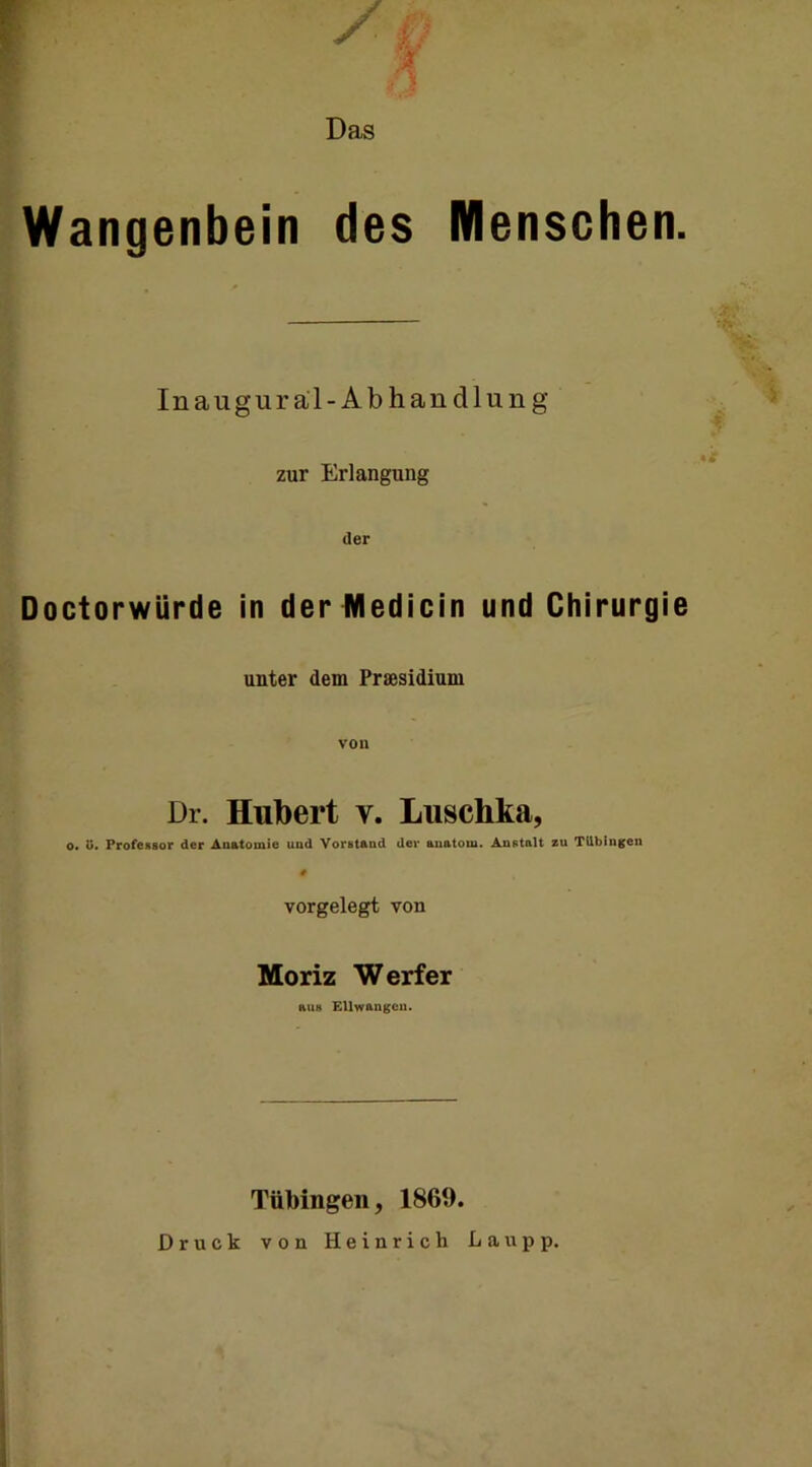 Das Wangenbein des Menschen. Inaugural-Abhandlung zur Erlangung der Doctorwürde in der Medicin und Chirurgie unter dem Praesidium von Dr. Hulbert v. Luschka, 0« U. Professor der Anatomie und Vorstand der auatoin. Anstalt zu Tübingen vorgelegt von Moriz Werfer aus EUwangeu. Tübingen, 1869. Druck von Heinrich Lau pp.