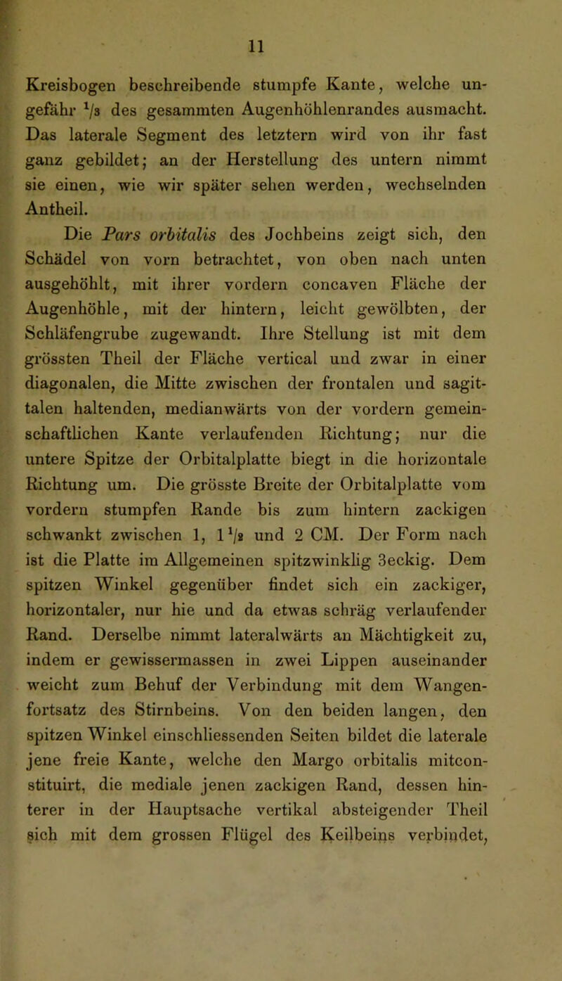 r Kreisbogen beschreibende stumpfe Kante, welche un- gefähr Vs des gesammten Augenhöhlenrandes ausraacht. Das laterale Segment des letztem wird von ihr fast ganz gebildet; an der Herstellung des untern nimmt sie einen, wie wir später sehen werden, wechselnden Antheil, Die Pars orhitalis des Jochbeins zeigt sich, den Schädel von vorn betrachtet, von oben nach unten ausgehöhlt, mit ihrer vordem concaven Fläche der Augenhöhle, mit der hintern, leicht gewölbten, der Schläfengrube zugewandt. Ihre Stellung ist mit dem grössten Theil der Fläche vertical und zwar in einer diagonalen, die Mitte zwischen der frontalen und sagit- talen haltenden, medianwärts von der vordeim gemein- schaftlichen Kante verlaufenden Richtung; nur die untere Spitze der Orbitalplatte biegt in die horizontale Richtung um. Die grösste Breite der Orbitalplatte vom vordem stumpfen Rande bis zum hintern zackigen schwankt zwischen 1, 1V» und 2 CM. Der Form nach ist die Platte im Allgemeinen spitzwinklig 3eckig. Dem spitzen Winkel gegenüber findet sich ein zackiger, horizontaler, nur hie und da etwas schräg verlaufender Rand. Derselbe nimmt lateralwärts an Mächtigkeit zu, indem er gewissermassen in zwei Lippen auseinander weicht zum Behuf der Verbindung mit dem Wangen- fortsatz des Stirnbeins. Von den beiden langen, den spitzen Winkel einschliessenden Seiten bildet die laterale jene freie Kante, welche den Marge orbitalis mitcon- stituirt, die mediale jenen zackigen Rand, dessen hin- terer in der Hauptsache vertikal absteigender Theil sich mit dem grossen Flügel des Keilbeins verbindet.