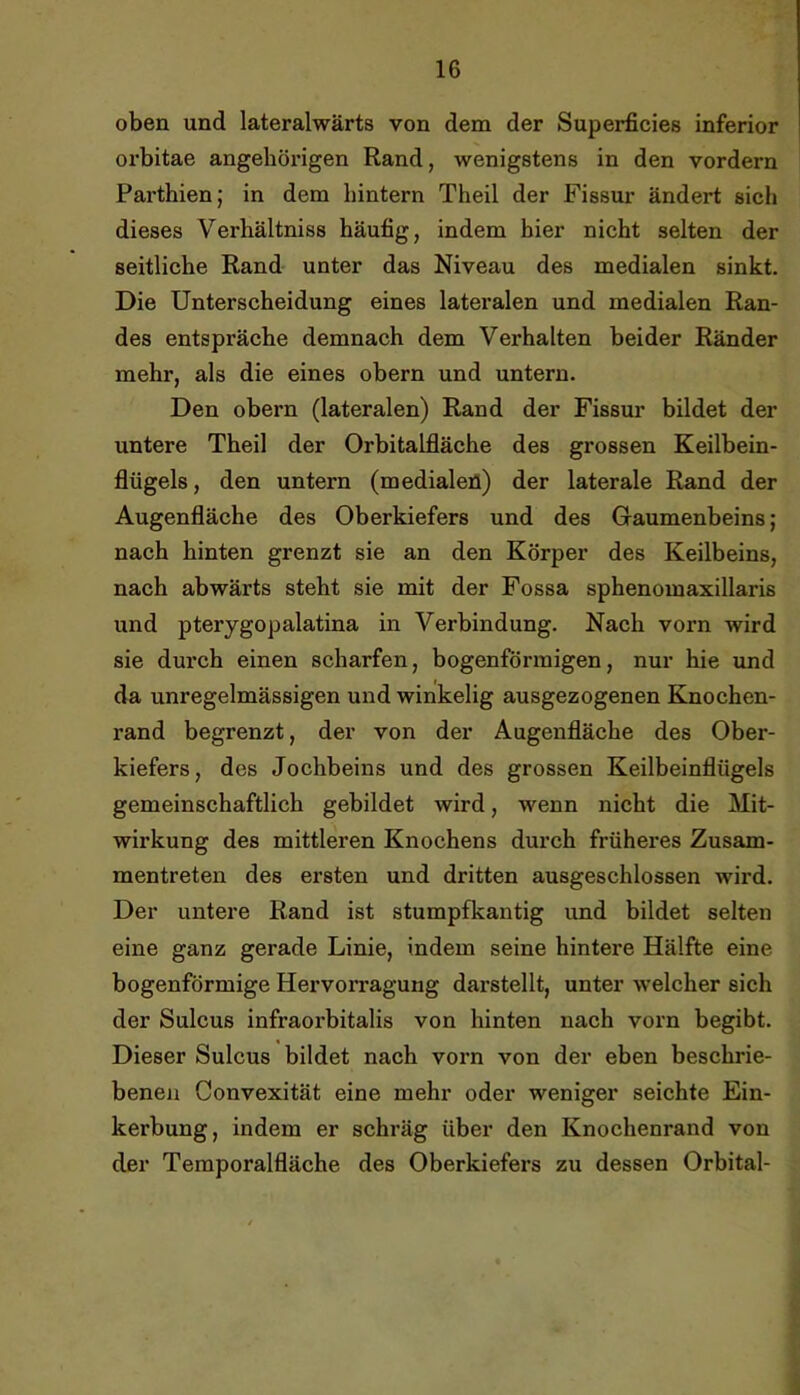 oben und lateralwärts von dem der Superficies inferior orbitae angehörigen Rand, wenigstens in den vordem Parthien; in dem hintern Theil der Fissur ändert siel» dieses Verhältniss häufig, indem hier nicht selten der seitliche Rand unter das Niveau des medialen sinkt. Die Unterscheidung eines lateralen und medialen Ran- des entspräche demnach dem Verhalten beider Ränder mehr, als die eines obern und untern. Den obern (lateralen) Rand der Fissur bildet der untere Theil der Orbitalfläche des grossen Keilbein- flügels, den untern (medialen) der laterale Rand der Augenfläche des Oberkiefers und des Gaumenbeins; nach hinten grenzt sie an den Körper des Keilbeins, nach abwärts steht sie mit der Fossa sphenomaxillaris und pterygopalatina in Verbindung. Nach vorn wird sie durch einen scharfen, bogenförmigen, nur hie und da unregelmässigen und winkelig ausgezogenen Knochen- rand begrenzt, der von der Augenfläche des Ober- kiefers, des Jochbeins und des grossen Keilbeinflügels gemeinschaftlich gebildet wird, wenn nicht die Mit- wirkung des mittleren Knochens durch früheres Zusam- mentreten des ersten und dritten ausgeschlossen wird. Der untere Rand ist stumpfkantig und bildet selten eine ganz gerade Linie, indem seine hintere Hälfte eine bogenförmige Hervorragung darstellt, unter welcher sich der Sulcus infraorbitalis von hinten nach vorn begibt. Dieser Sulcus bildet nach vorn von der eben beschrie- benen Convexität eine mehr oder weniger seichte Ein- kerbung, indem er schräg über den Knochenrand von der Temporalfläche des Oberkiefei’s zu dessen Orbital-