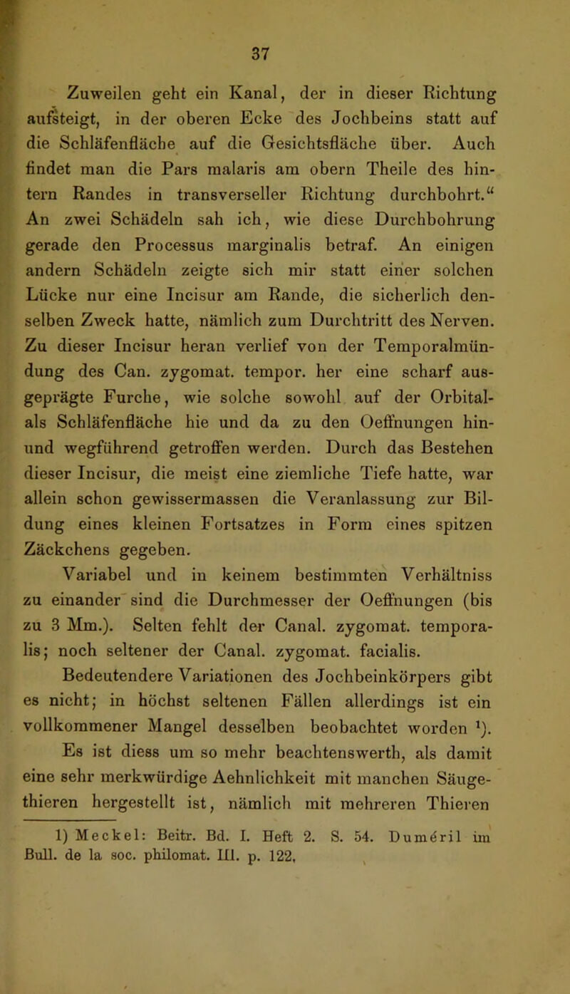 Zuweilen geht ein Kanal, der in dieser Richtung aufsteigt, in der oberen Ecke des Jochbeins statt auf die Schläfenfläche auf die Gesichtsfläche über. Auch findet man die Pars malaris am obern Theile des hin- tern Randes in transverseller Richtung durchbohrt.“ An zwei Schädeln sah ich, wie diese Durchbohrung gerade den Processus marginalis betraf. An einigen andern Schädeln zeigte sich mir statt einer solchen Lücke nur eine Incisur am Rande, die sicherlich den- selben Zweck hatte, nämlich zum Durchtritt des Nerven. Zu dieser Incisur heran verlief von der Temporalmün- dung des Can. zygomat. tempor. her eine scharf aus- geprägte Furche, wie solche sowohl auf der Orbital- als Schläfenfläche hie und da zu den Oeffnungen hin- und wegführend getroffen werden. Durch das Bestehen dieser Incisur, die meist eine ziemliche Tiefe hatte, war allein schon gewissermassen die Veranlassung zur Bil- dung eines kleinen Fortsatzes in Form eines spitzen Zäckchens gegeben. Variabel und in keinem bestimmten Verhältniss zu einander'sind die Durchmesser der Oeffnungen (bis zu 3 Mm.). Selten fehlt dei* Canal, zygomat. tempora- lis; noch seltener der Canal, zygomat. facialis. Bedeutendere Variationen des Jochbeinkörpers gibt es nicht; in höchst seltenen Fällen allerdings ist ein vollkommener Mangel desselben beobachtet worden ’). Es ist diess um so mehr beachtenswerth, als damit eine sehr merkwürdige Aehnlichkeit mit manchen Säuge- thieren hergestellt ist, nämlich mit mehreren Thieren 1) Meckel: Beitr. Bd. I. Heft 2. S. 54. Dum^ril ün Bull, de la soc. phüomat. Ul. p. 122,