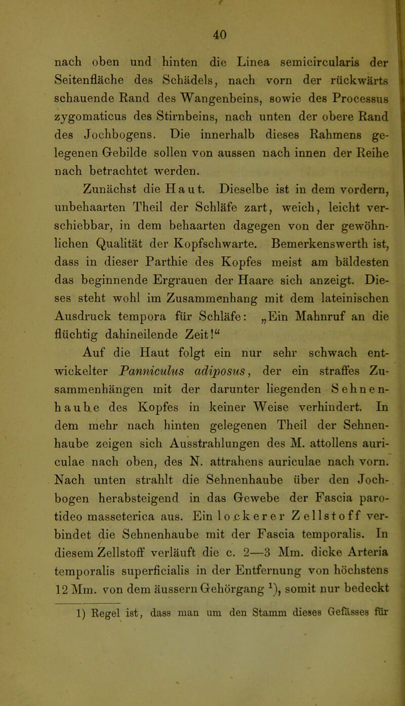 nach oben und hinten die Linea semicircularis der Seitenfläche des Schädels, nach vorn der rückwärts schauende Rand des Wangenbeins, sowie des Processus zygomaticus des Stirnbeins, nach unten der obere Rand des Jochbogens. Die innerhalb dieses Rahmens ge- legenen Gebilde sollen von aussen nach innen der Reihe nach betrachtet w'erden. Zunächst die Haut. Dieselbe ist in dem vordem, unbehaarten Theil der Schläfe zart, weich, leicht ver- schiebbar, in dem behaarten dagegen von der gewöhn- lichen Qualität der Kopfschwarte. Bemerkenswerth ist, dass in dieser Parthie des Kopfes meist am bäldesten das beginnende Ergrauen der Haare sich anzeigt. Die- ses steht wohl im Zusammenhang mit dem lateinischen Ausdruck tempora für Schläfe: „Ein Mahnruf an die flüchtig dahineilende Zeit!“ Auf die Haut folgt ein nur sehr schwach ent- wickelter Pannicuhis adijwstis, der ein straffes Zu- sammenhängen mit der darunter liegenden Sehnen- haube des Kopfes in keiner Weise verhindert. In dem mehr nach hinten gelegenen Theil der Sehnen- haube zeigen sich Ausstrahlungen des M. attollens auri- culae nach oben, des N. attrahens auriculae nach vorn. Nach unten strahlt die Sehnenhaube über den Joch- bogen herabsteigend in das Gewebe der Fascia paro- tideo masseterica aus. Ein lockerer Zellstoff ver- bindet die Sehnenhaube mit der Fascia temporalis. In diesem Zellstoff verläuft die c. 2—3 Mm. dicke Arteria temporalis superficialis in der Entfernung von höchstens 12 Mm. von dem äussern Gehörgang ^), somit nur bedeckt 1) Regel ist, dass man um den Stamm dieses Gefässes für
