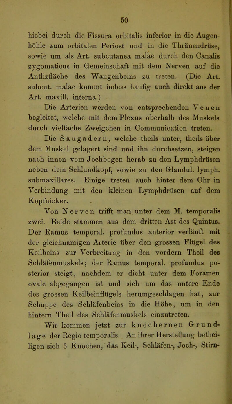 hiebei durch die Fissura orbitalis inferior in die Augen- höhle zum orbitalen Periost und in die Thränendrtise, sowie um als Art. subcutanea malae durch den Canalis zygomaticus in Gemeinschaft mit dem Nerven auf die Antlizfläche des Wangenbeins zu treten. (Die Art. subcut. malae kommt indess häufig auch direkt aus der Art. maxill. interna.) Die Arterien werden von entsprechenden Venen begleitet, welche mit dem Plexus obei*halb des Muskels durch vielfache Zweigehen in Communication treten. Die Saugadern, welche theils unter, theils über dem Muskel gelagert sind und ihn durchsetzen, steigen nach innen vom Jochbogen herab zu den Lymphdrüsen neben dem Schlundkopf, sowie zu den Glandul. lymph. submaxillares. Einige treten auch hinter dem Ohr in Verbindung mit den kleinen Lymphdrüsen auf dem Kopfnicker. Von Nerven tx’ifit man unter dem M. temporalis zwei. Beide stammen aus dem dritten Ast des Quintus. Der Ramus temporal, profundus anterior verläuft mit der gleichnamigen Arterie über den grossen Flügel des Keilbeins zur Verbreitung in den vordem Theil des Schläfenmuskels; der Ramus temporal, profundus po- sterior steigt, nachdem er dicht unter dem Foramen ovale abgegangen ist und sich um das untere Ende des grossen Keilbeinflügels herumgeschlagen hat, zur Schuppe des Schläfenbeins in die Höhe, um in den hintern Theil des Schläfenmuskels einzutreten. Wir kommen jetzt zur knöchernen Grund- lage der Regio temporalis.. An ihrer Herstellung bethei- ligen sich 5 Knochen, das Keil-, Schläfen-, Joch-, Stirn-