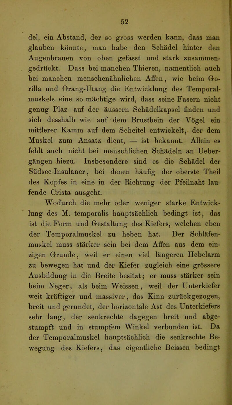 del, ein Abstand, der so gross werden kann, dass man glauben könnte, man habe den Schädel hinter den Augenbrauen von oben gefasst und stark zusammen- gedrückt. Dass bei manchen Thieren, namentlich auch bei manchen menschenähnlichen Affen, wie beim Go- rilla und Orang-Utang die Entwicklung des Temporal- muskels eine so mächtige wird, dass seine Fasern nicht genug Plaz auf der äussern Schädelkapsel finden und sich desshalb wie auf dem Brustbein der Vögel ein mittlerer Kamm auf dem Scheitel entwickelt, der dem Muskel zum Ansatz dient, — ist bekannt. Allein es fehlt auch nicht bei menschlichen Schädeln an Ueber- gängen hiezu. Insbesondere sind es die Schädel der Südsee-Insulaner, bei denen häufig der oberste Theil des Kopfes in eine in der Richtung der Pfeilnaht lau- fende Crista ausgeht. Wodurch die mehr oder weniger starke Entwick- lung des M. temporalis hauptsächlich bedingt ist, das ist die Form und Gestaltung des Kiefers, welchen eben der Temporalmuskel zu heben hat. Der Schläfen- muskel muss stärker sein bei dem Affen aus dem ein- zigen Grunde, weil er einen viel längeren Hebelarm zu bewegen hat und der Kiefer zugleich eine grössere Ausbildung in die Breite besitzt; er muss stärker sein beim Neger, als beim Weissen, weil der Unterkiefer weit kräftiger und massiver, das Kinn zurückgezogen, breit und gerundet, der horizontale Ast des Unterkiefers sehr lang, der senkrechte dagegen breit und abge- stumpft und in stumpfem Winkel verbunden ist. Da ^ der Temporalmuskel hauptsächlich die senkrechte Be- wegung des Kiefei’s, das eigentliche Beissen bedingt