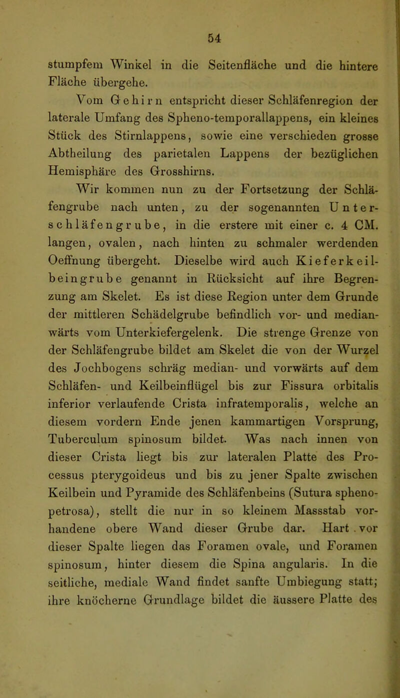 stumpfem Winkel in die Seitenfläche und die hintere Fläche übergehe. Vom Gehirn entspricht dieser Schläfenregion der laterale Umfang des Spheno-temporallappens, ein kleines Stück des Stirnlappens, sowie eine verschieden grosse Abtheilung des parietalen Lappens der bezüglichen Hemisphäre des Grosshirns. Wir kommen nun zu der Fortsetzung der Schlä- fengrube nach unten, zu der sogenannten Unter- schläfengrube, in die erstere mit einer c. 4 CM. langen, ovalen, nach hinten zu schmaler werdenden Oeffnung übergeht. Dieselbe wird auch Kieferkeil- beingrube genannt in Rücksicht auf ihre Begren- zung am Skelet. Es ist diese Region unter dem Grunde der mittleren Schädelgrube befindlich vor- und median- wärts vom Unterkiefergelenk. Die strenge Grenze von der Schläfengrube bildet am Skelet die von der Wurzel des Jochbogens schräg median- und vorwärts auf dem Schläfen- und Keilbeinflügel bis zur Fissura orbitalis inferior verlaufende Crista infratemporalis, welche an diesem vordem Ende jenen kammartigen Vorsprung, Tuberculum spinosum bildet. Was nach innen von dieser Crista liegt bis zur lateralen Platte des Pro- cessus pterygoideus und bis zu jener Spalte zwischen Keilbein und Pyramide des Schläfenbeins (Sutura spheno- petrosa), stellt die nur in so kleinem Massstab vor- handene obere Wand dieser Grube dar. Hart . vor dieser Spalte liegen das Foramen ovale, und Forainen spinosum, hinter diesem die Spina angularis. In die seitliche, mediale Wand findet sanfte Umbiegung statt; ihre knöcherne Grundlage bildet die äussere Platte des