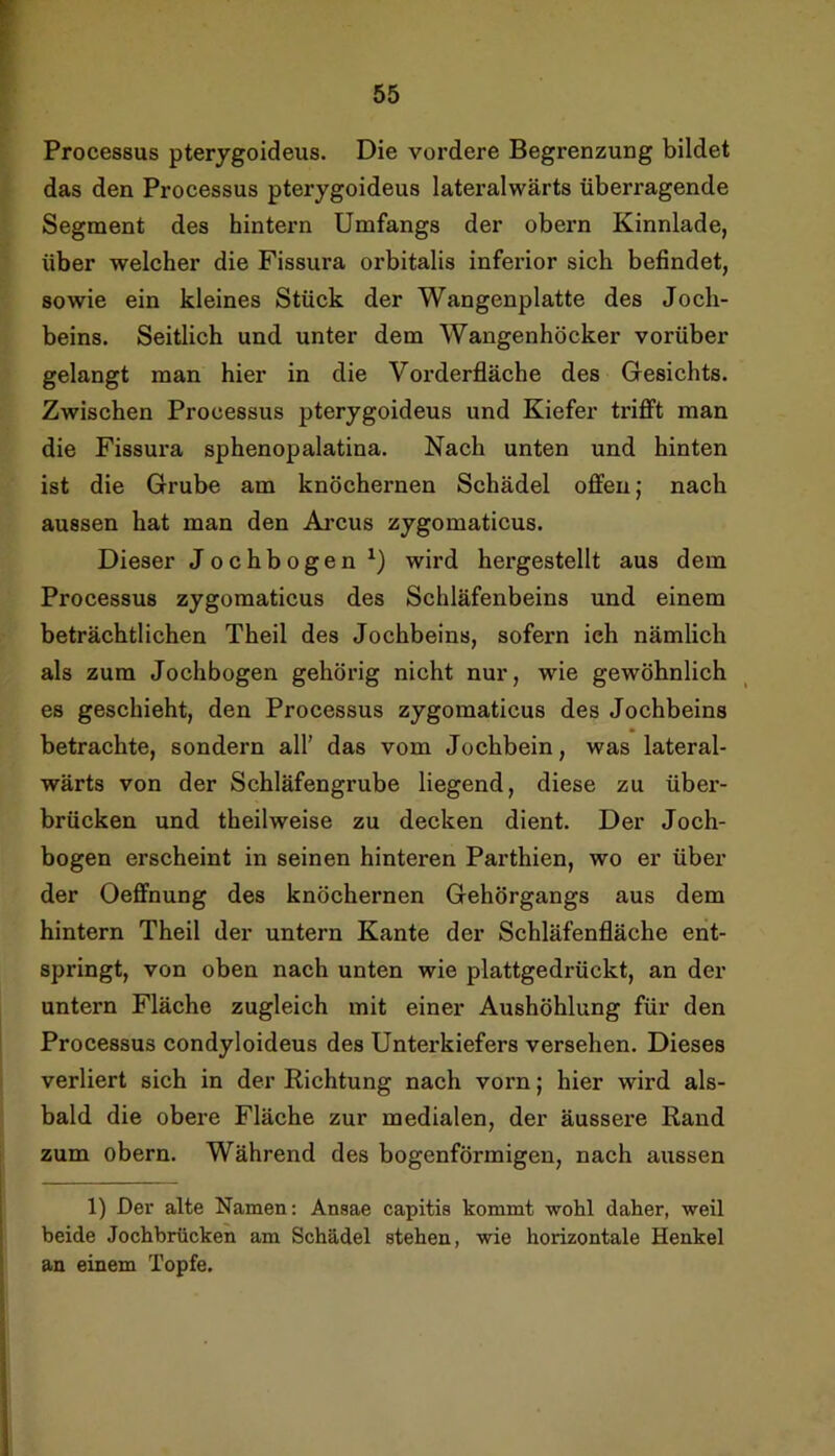 Processus pterygoideus. Die vordere Begrenzung bildet das den Processus pterygoideus lateralwärts überragende Segment des hintern Umfangs der obern Kinnlade, über welcher die Fissura orbitalis inferior sich befindet, sowie ein kleines Stück der Wangenplatte des Joch- beins. Seitlich und unter dem Wangenhöcker vorüber gelangt man hier in die Vorderfläche des Gesichts. Zwischen Processus pterygoideus und Kiefer trifft man die Fissura sphenopalatina. Nach unten und hinten ist die Grube am knöchernen Schädel offen; nach aussen hat man den Ai’cus zygomaticus. Dieser Jochbogen wird hergestellt aus dem Processus zygomaticus des Schläfenbeins und einem beträchtlichen Theil des Jochbeins, sofern ich nämlich als zum Jochbogen gehörig nicht nur, wie gewöhnlich es geschieht, den Processus zygomaticus des Jochbeins betrachte, sondern all’ das vom Jochbein, was lateral- wärts von der Schläfengrube liegend, diese zu über- brücken und theilweise zu decken dient. Der Joch- bogen erscheint in seinen hinteren Parthien, wo er über der Oeffnung des knöchernen Gehörgangs aus dem hintern Theil der untern Kante der Schläfenfläche ent- springt, von oben nach unten wie plattgedrückt, an der untern Fläche zugleich mit einer Aushöhlung für den Processus condyloideus des Unterkiefers versehen. Dieses verliert sich in der Richtung nach vorn; hier wird als- bald die obere Fläche zur medialen, der äussere Rand zum obern. Während des bogenförmigen, nach aussen 1) Der alte Namen: Ansae capitis kommt -wolil daher, weil beide Jochbrücken am Schädel stehen, wie horizontale Henkel an einem Topfe.