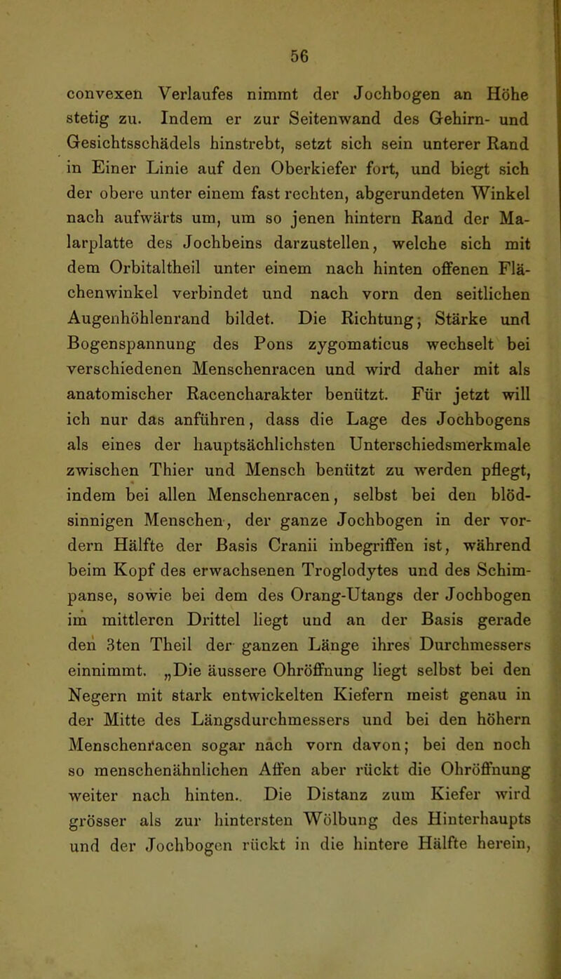 convexen Verlaufes nimmt der Jochbogen an Höhe stetig zu. Indem er zur Seitenwand des Gehirn- und Gesichtsschädels hinstrebt, setzt sich sein unterer Rand in Einer Linie auf den Oberkiefer fort, und biegt sich der obere unter einem fast rechten, abgerundeten Winkel nach aufwärts um, um so jenen hintern Rand der Ma- larplatte des Jochbeins darzustellen, welche sich mit dem Orbitaltheil unter einem nach hinten offenen Flä- chenwinkel verbindet und nach vorn den seitlichen Augenhöhlenrand bildet. Die Richtung; Stärke und Bogenspannung des Pons zygomaticus wechselt bei verschiedenen Menschenracen und wird daher mit als anatomischer Racencharakter benützt. Für jetzt will ich nur das anführen, dass die Lage des Jochbogens als eines der hauptsächlichsten Unterschiedsmerkmale zwischen Thier und Mensch benützt zu werden pflegt, indem bei allen Menschenracen, selbst bei den blöd- sinnigen Menschen , der ganze Jochbogen in der vor- dem Hälfte der Basis Cranii inbegriffen ist, während beim Kopf des erwachsenen Troglodytes und des Schim- panse, sowie bei dem des Orang-Utangs der Jochbogen im mittleren Drittel liegt und an der Basis gerade den .3ten Theil der ganzen Länge ihres Durchmessers einnimmt. „Die äussere Ohröffnung liegt selbst bei den Negern mit stark entwickelten Kiefern meist genau in der Mitte des Längsdurchmessers und bei den höhern Menschenracen sogar nach vorn davon; bei den noch so menschenähnlichen Affen aber rückt die Ohröffnung weiter nach hinten.. Die Distanz zum Kiefer wird grösser als zur hintersten Wölbung des Hinterhaupts und der Jochbogcn rückt in die hintere Hälfte herein.