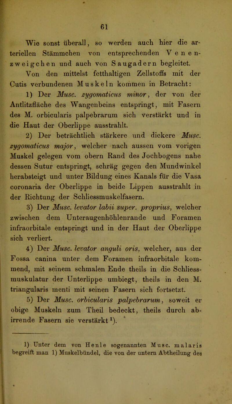 Wie sonst überall, so werden auch hier die ar- teriellen Stämmchen von entsprechenden V e n e n- zweigehen und auch von Saugadern begleitet. Von den mittelst fetthaltigen Zellstoffs mit der Cutis verbundenen Muskeln kommen in Betracht: 1) Der Muse, zygomaticus minor, der von der Antlitzfläche des Wangenbeins entsprangt, mit Fasern des M. orbicularis palpebrarum sich verstärkt und in die Haut der Oberlippe ausstrahlt. 2) Der beträchtlich stärkere und dickere Muse, zygomaticus major, welcher nach aussen vom vorigen Muskel gelegen vom obern Rand des Jochbogens nahe dessen Sutur entspringt, schräg gegen den Mundwinkel herabsteigt und unter Bildung eines Kanals für die Vasa coronaria der Oberlippe in beide Lippen ausstrahlt in der Richtung der Schliessmuskelfasern. 3) Der Muse, levator lahii super, proprius, welcher zwischen dem Unteraugenhöhlenrande und Foramen infraorbitale entspringt und in der Haut der Oberlippe sich verliert. 4) Der Muse, levator anguli oris, welcher, aus der Fossa canina unter dem Foramen infraorbitale kom- mend, mit seinem schmalen Ende theils in die Schliess- muskulatur der Unterlippe umbiegt, theils in den M. triangularis menti mit seinen Fasern sich fortsetzt. 5) Der Muse, orbieularis palpebrarum, soweit er obige Muskeln zum Theil bedeckt, theils durch ab- irrende Fasern sie verstärkt ^). 1) Unter dem von He nie sogenannten Muse, malaris begreift man 1) Muskelbündel, die von der untern Abtheilimg des