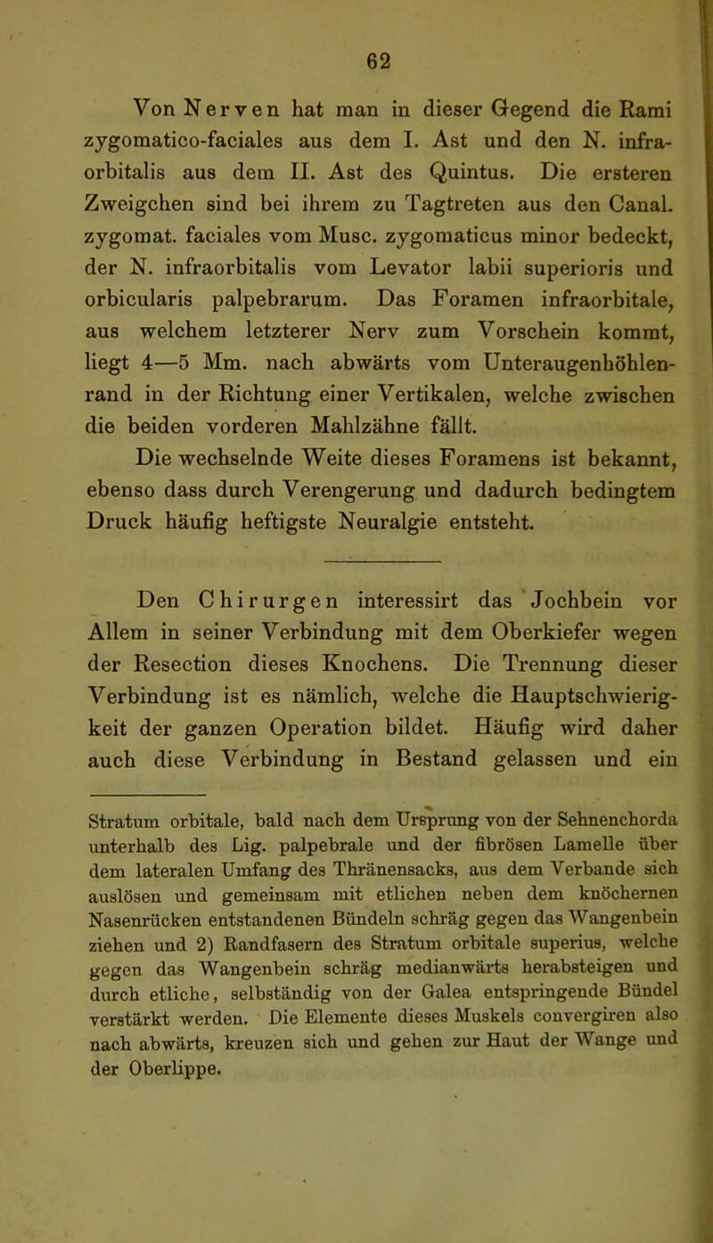 Von Nerven hat man in dieser Gegend die Rami zygomatico-faciales aus dem I. Ast und den N. infra- orbitalis aus dem II. Ast des Quintus. Die ersteren Zweigchen sind bei ihrem zu Tagtreten aus den Canal, zygomat. faciales vom Muse, zygomaticus minor bedeckt, der N. infraorbitalis vom Levator labii superioris und orbicularis palpebrarum. Das Foramen infraorbitale, aus welchem letzterer Nerv zum Vorschein kommt, liegt 4—5 Mm. nach abwärts vom Unteraugenhöhlen- rand in der Richtung einer Vertikalen, welche zwischen die beiden vorderen Mahlzähne fällt. Die wechselnde Weite dieses Foramens ist bekannt, ebenso dass durch Verengerung und dadurch bedingtem Druck häufig heftigste Neuralgie entsteht. Den Chirurgen interessirt das Jochbein vor Allem in seiner Verbindung mit dem Oberkiefer wegen der Resection dieses Knochens. Die Trennung dieser Verbindung ist es nämlich, welche die Hauptschwierig- keit der ganzen Operation bildet. Häufig wird daher auch diese Verbindung in Bestand gelassen und ein Stratum orbitale, bald nach dem Ursprung von der Sehnenchorda unterhalb des Lig. palpebrale und der fibrösen Lamelle über dem lateralen Umfang des Thränensacks, aus dem Verbände sich auslösen und gemeinsam mit etlichen neben dem knöchernen Nasenrücken entstandenen Bündeln schräg gegen das Wangenbein ziehen und 2) Randfasem des Stratum orbitale superius, welche gegen das Wangenbein schräg medianwärts herabsteigen und durch etliche, selbständig von der Galea entspringende Bündel verstärkt werden. Die Elemente dieses Muskels convergiren also nach abwärts, kreuzen sich imd gehen zur Haut der Wange und der Oberlippe.