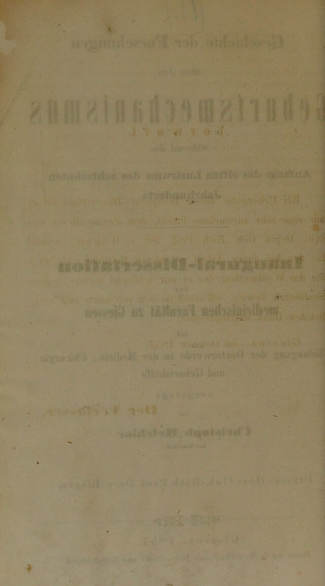 digitised image 2