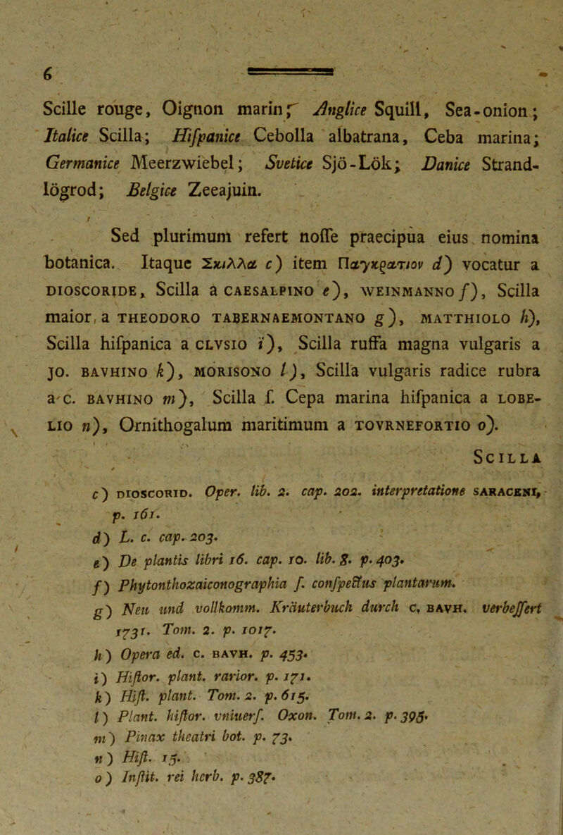 Scille rouge, Oignon marinjT Anglice Squill, Sea-onion; Italice Scilla; Hifpanice Cebolla albatrana, Ceba marina; Germanice Meerzwiebel; Svetice Sjo-Lok; Danice Strand- logrod; Belgice Zeeajuin. / . ' Sed plurimum refert node praecipua eius nomina ■ botanica. Itaque c) item nayxganov I) vocatur a dioscorjde* Scilla a caesalpino «), weinmanno/), Scilla maior, a theodoro tabernaemontano g), matthiolo /i), Scilla hifpanica a clvsio i’). Scilla ruffa magna vulgaris a jo. bavhino k), morisono /), Scilla vulgaris radice rubra a c. bavhino w). Scilla f. Cepa marina hifpanica a lobe- lio n), Ornithogalum maritimum a tovrnefortio o). Scilla c) mosconiD. Oper. lib. 2. cap. 202. interpretatione saraceni, p. i6t. d) L. c. cap. 203. g) JJe plantis libri 16. cap. JO. lib. 8- p. 403. /) Phytonthozaiconographia f. confpeffus plantarim. g) Neu und vollkonim. Krciuterbuck durch c, bavh. verbejfert 1731. Totn. 2. p. 1017. h ) Opera ed. c. bavh. p. 453. i) Hifior. piant, rarior, p. 171. k) Iiijl. piant. Totn. 2. p.615. /) Piant, hijtor. vniuerf. Oxon. Toni. 2. p. 393. m) Pinax theatri bot. p. 73. w ) Hijl. 13. 0 ) Injlit. rei herb. p. 387.