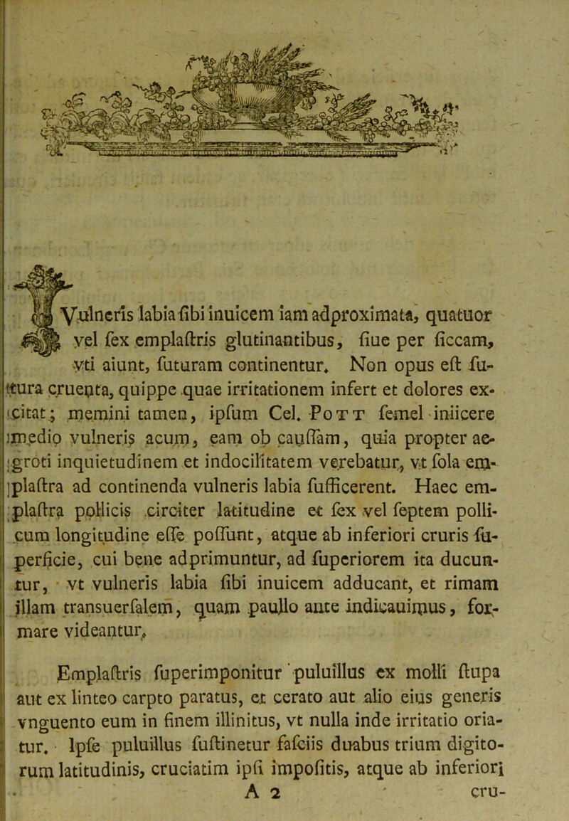 ^fv^ncr’ls labia fibi inuicem iam adproximata, quatuor g&k yel fex emplaftris glutinantibus, fiue per ficcam, yti aiunt, futuram continentur. Non opus eft fu- ttura cruepta, quippe quae irritationem infert et dolores ex* «citatmemini tamen, ipfum Cei. Pott femel iniicere imedio vulneris acum, eam ob caiiffam, quia propter ae- groti inquietudinem et indocilitatem verebatur, yt fola enj- ]plaftra ad continenda vulneris labia fufficerent. Haec em- plaftra pollicis circiter latitudine et fex vel feptem polli- i cum longitudine elfe polfunt, atque ab inferiori cruris fu- perficie, cui bene adprimuntur, ad fuperiorem ita ducun- tur, vt vulneris labia fibi inuicem adducant, et rimam i illam transuerfalem, quam paullo ante indieauimus, for- mare videantur, Emplaftris fuperimponitur puluillus ex molli (lupa aut ex linteo carpto paratus, et cerato aut alio eius generis vnguento eum in finem illinitus, vt nulla inde irritatio oria- tur. lpfe puluillus fuftinetur fafciis duabus trium digito- rum latitudinis, cruciatim ipfi impolitis, atque ab inferiori