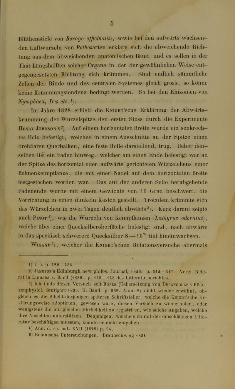 BlUthensliele von Borago officinalis), sowie bei den aufwärts wachsen- den Luftwurzeln von Pothosnrlen erkläre sich die abweichende Rich- tung aus dem abweichenden anatomischen Baue, und es sollen in der That Längshälften solcher Organe in der der gewöhnlichen Weise ent- gegengesetzten Richtung sich krümmen. Sind endlich sämmtliche Zellen der Rinde und des centralen Systemes gleich gross, so könne keine Krümmungstendenz bedingt werden. So bei den Rhizomen von Nymphaea, Ins etc.*). Im Jahre 1828 erhielt die KmGHT’sche Erklärung der Abwärts- krümmung der Wurzelspitze den ersten Stoss durch die Experimente Henry Johnson’s1 2). Auf einem horizontalen Breite wurde ein senkrech- tes Holz befestigt, welches in einem Ausschnitte an der Spitze einen drehbaren Querbalken, eine feste Rolle darstellend, trug. Ueber den- selben lief ein Faden hinweg, welcher am einen Ende befestigt war an der Spitze des horizontal oder aufwärts gerichteten Würzelchens einer Bohnenkeimpflanze, die mit einer Nadel auf dem horizontalen Breite festgestochen worden war. Das auf der anderen Seite herabgehende Fadenende wurde mit einem Gewichte von 10 Gran beschwert, die Vorrichtung in einen dunkeln Kasten gestellt. Trotzdem krümmte sich das Würzclchen in zwei Tagen deutlich abwärts3). Kurz darauf zeigte auch Pinot4), wie die Wurzeln von Keimpflanzen (Lathyrus odoralus), welche über einer Quecksilberoberfläche befestigt sind, nach abwärts in das specifisch schwerere Quecksilber 8 —10' tief hincinwachsen. Wigand5), welcher die KNiGiiT’schen Rotationsversuche abermals 1) 1. C. p. 422—434. 2) Jameson’s Edinburgh new philos. Journal, 1828. p. 312—317. Vcrgl. Refe- rat in Linnaea 8. Band (1830). p. 145—148 des Litteraturberichtes. 3) Ich finde diesen Versuch seit Röper (Uebersctzung von Decandolle’s Pflan- zenphysiol. Stuttgart 1833. II. Band. p. 562. Anin. 2) nicht wieder erwähnt, ob- gleich es die Pflicht derjenigen späteren Schriftsteller, welche die KNiGiiT’sche Er- klärungsweise adoptirlen, gewesen wäre, diesen Versuch zu wiederholen, oder wenigstens ihn mit gleicher Ehrlichkeit zu registriren, wie solche Angaben, welche ihre Ansichten unterstützen. Denjenigen, welche sich mit der einschlägigen Litte- ratur beschäftigen mussten, konnte er nicht entgehen. 4) Ann. d. sc. nat. XVII (1829) p. 94. 5) Botanische Untersuchungen. Braunschweig 1854.