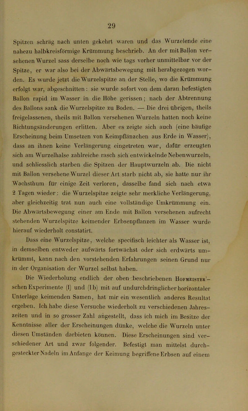 Spitzen schräg nach unten gekehrt waren und das Wurzelende eine nahezu halbkreisförmige Krümmung beschrieb. An der mit Ballon ver- sehenen Wurzel sass derselbe noch wie tags vorher unmittelbar vor der Spitze, er war also bei der Abwärtsbewegung mit herabgezogen wor- den. Es wurde jetzt die Wurzelspitze an der Stelle, wo die Krümmung erfolgt war, abgeschnitten: sie wurde sofort von dem daran befestigten Ballon rapid im Wasser in die Höhe gerissen; nach der Abtrennung des Ballons sank die Wurzelspitze zu Boden. — Die drei übrigen, theils freigelassenen, theils mit Ballon versehenen Wurzeln hatten noch keine Richtungsänderungen erlitten. Aber es zeigte sich auch (eine häufige Erscheinung beim Umsetzen von Keimpflänzchen aus Erde in Wasser), dass an ihnen keine Verlängerung eingetreten war, dafür erzeugten sich am Wurzelhalse zahlreiche rasch sich entwickelnde Nebenwurzeln, und schliesslich starben die Spitzen der Hauptwurzeln ab. Die nicht mit Ballon versehene Wurzel dieser Art starb nicht ab, sie hatte nur ihr Wachsthum für einige Zeit verloren, dasselbe fand sich nach etwa 2 Tagen wieder: die Wurzelspitze zeigte sehr merkliche Verlängerung, aber gleichzeitig trat nun auch eine vollständige Umkrümmung ein. Die Abwärtsbewegung einer am Ende mit Ballon versehenen aufrecht stehenden Wurzelspitze keimender Erbsenpflanzen im Wasser wurde hierauf wiederholt constatirt. Dass eine Wurzelspitze, welche specifisch leichter als Wasser ist, in demselben entweder aufwärts fortwächst oder sich erdwärts um- krümmt, kann nach den vorstehenden Erfahrungen seinen Grund nur in der Organisation der Wurzel selbst haben. Die Wiederholung endlich der oben beschriebenen IIofmeister’- schen Experimente (1) und (I b) mit auf undurchdringlicher horizontaler Unterlage keimenden Samen, hat mir ein wesentlich anderes Resultat ergeben. Ich habe diese Versuche wiederholt zu verschiedenen Jahres- zeiten und in so grosser Zahl angestellt, dass ich mich im Besitze der Kenntnisse aller der Erscheinungen dünke, welche die Wurzeln unter diesen Umständen darbieten können. Diese Erscheinungen sind ver- schiedener Art und zwar folgender. Befestigt man mittelst durch- gesleckter Nadeln im Anfänge der Keimung begriffene Erbsen auf einem