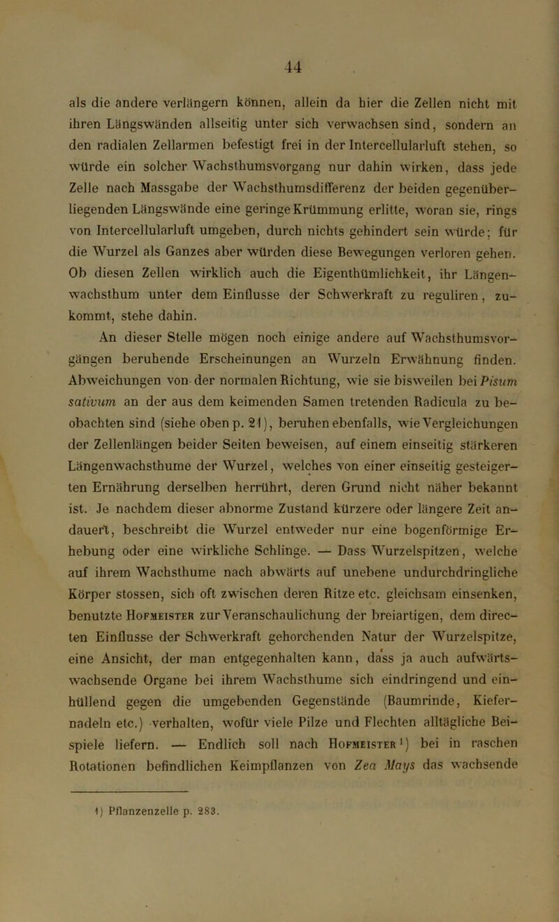 als die andere verlängern können, allein da hier die Zellen nicht mit ihren Längswänden allseitig unter sich verwachsen sind, sondern an den radialen Zellarmen befestigt frei in der Intercellularluft stehen, so würde ein solcher Wachsthumsvorgang nur dahin wirken, dass jede Zelle nach Massgabe der Wachsthumsdifferenz der beiden gegenüber- liegenden Längswände eine geringe Krümmung erlitte, woran sie, rings von Intercellularluft umgeben, durch nichts gehindert sein würde; für die Wurzel als Ganzes aber würden diese Bewegungen verloren gehen. Ob diesen Zellen wirklich auch die Eigentümlichkeit, ihr Längen- wachsthum unter dem Einflüsse der Schwerkraft zu reguliren, zu- kommt, stehe dahin. An dieser Stelle mögen noch einige andere auf Wachsthumsvor- gängen beruhende Erscheinungen an Wurzeln Erwähnung finden. Abweichungen von der normalen Richtung, wie sie bisweilen bei Pisum sativum an der aus dem keimenden Samen tretenden Radicula zu be- obachten sind (siehe oben p. 21), beruhen ebenfalls, wie Vergleichungen der Zellenlängen beider Seiten beweisen, auf einem einseitig stärkeren Längenwachsthume der Wurzel, welches von einer einseitig gesteiger- ten Ernährung derselben herrührt, deren Grund nicht näher bekannt ist. Je nachdem dieser abnorme Zustand kürzere oder längere Zeit an- dauert, beschreibt die Wurzel entweder nur eine bogenförmige Er- hebung oder eine wirkliche Schlinge. — Dass Wurzelspitzen, welche auf ihrem Wachsthume nach abwärts auf unebene undurchdringliche Körper stossen, sich oft zwischen deren Ritze etc. gleichsam einsenken, benutzte Hofmeister zur Veranschaulichung der breiartigen, dem direc- ten Einflüsse der Schwerkraft gehorchenden Natur der Wurzelspitze, eine Ansicht, der man entgegenhalten kann, dass ja auch aufwärts- wachsende Organe bei ihrem Wachsthume sich eindringend und ein- hüllend gegen die umgebenden Gegenstände (Baumrinde, Kiefer- nadeln etc.) verhalten, wofür viele Pilze und Flechten alltägliche Bei- spiele liefern. — Endlich soll nach Hofmeister1) bei in raschen Rotationen befindlichen Keimpflanzen von Zea Mays das wachsende I) Ptlanzenzelle p. 283.