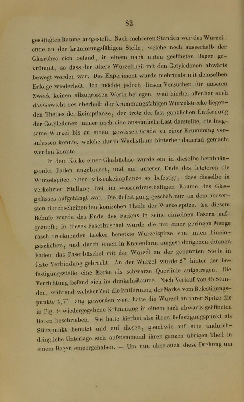 gesättigten Raume aufgestellt. Nach mehreren Stunden war das Wurzel- ende an der krümmungsfähigen Stelle, welche noch ausserhalb der Glasröhre sich befand, in einem nach unten geöffneten Bogen ge- krümmt, so dass der ältere Wurzeltheil mit den Colyledonen abwärts bewegt worden war. Das Experiment wurde mehrmals mit demselben Erfolse wiederholt. Ich möchte jedoch diesen Versuchen für unseren Zweck keinen allzugrossen Werth beilegen, weil hierbei offenbar auch das Gewicht des oberhalb der krümmungsfähigen Wurzelstrecke liegen- den Theiles der Keimpflanze, der trotz der fast gänzlichen Entfernung der Cotyledonen immer noch eine ansehnliche Last darstellte, die bieg- same Wurzel bis zu einem gewissen Grade zu einer Krümmung ver- anlassen konnte, welche durch Wachsthum hinterher dauernd gemacht werden konnte. ln dem Korke einer Glasbiichse wurde ein in dieselbe herabhän- gender Faden angebracht, und am unteren Ende des letzteren die Wurzelspitze einer Erbsenkeimpflanze so befestigt, dass dieselbe in verkehrter Stellung frei im wasserdunsthaltigen Raume des Glas- gefässes aufgehängt war. Die Befestigung geschah nur an dem äusser- sten durchscheinenden konischen Theile der Wurzelspitze. Zu diesem Behufe wurde das Ende des Fadens in seine einzelnen Fasern auf- gezupft; in dieses Faserbüschel wurde die mit einer geringen Menge rasch trocknenden Lackes benetzte Wurzelspitze von unten hinein- geschoben , und durch einen in Knotenform umgeschlungenen dünnen Faden das Faserbüschel mit der Wurzel an der genannten Stelle in feste Verbindung gebracht. An der Wurzel wurde 2' hinter der Be- festigungsstelle eine Marke als schwarze Querlinie aufgetragen. Die Vorrichtung befand sich im dunkeln ßaume. Nach Verlauf von 15 Stun- den, während welcher Zeit die Entfernung der Marke vom Befestigungs- punkte 4,7' lang geworden war, hatte die Wurzel an ihrer Spitze die in Fig. 9 wiedergegebene Krümmung in einem nach abwärts geöffneten Bo en beschrieben. Sie hatte hierbei also ihren Befestigungspunkt als Stützpunkt benutzt und auf diesen, gleichwie auf eine undurch- dringliche Unterlage sich aufstemmend ihren ganzen übrigen Theil in einem Bogen emporgehoben. - Um nun aber auch diese Drehung um