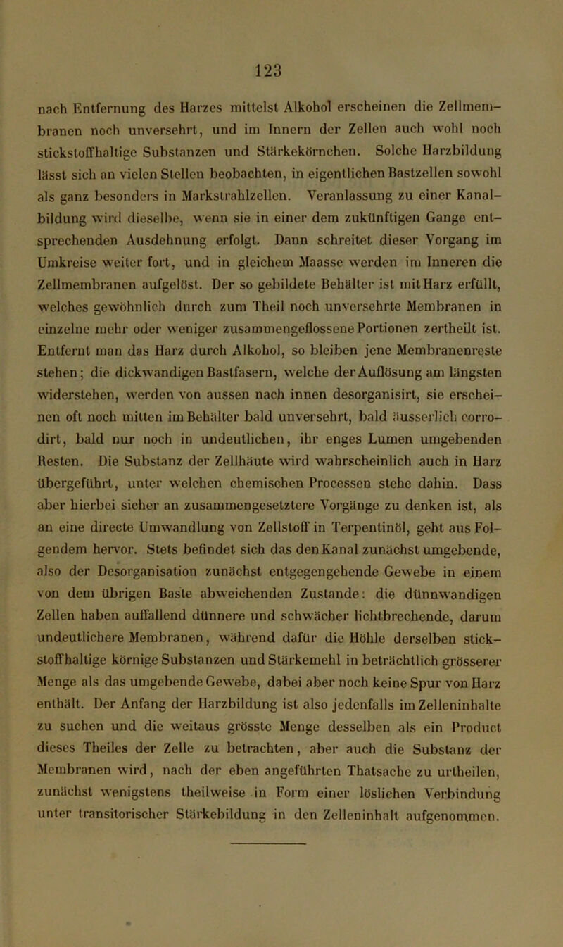 nach Entfernung des Harzes mittelst Alkohol erscheinen die Zellmem- branen noch unversehrt, und im Innern der Zellen auch wohl noch stickstoffhaltige Substanzen und Stärkekörnchen. Solche Harzbildung lässt sich an vielen Stellen beobachten, in eigentlichen Bastzellen sowohl als ganz besonders in Markstrahlzellen. Veranlassung zu einer Kanal- bildung wird dieselbe, wenn sie in einer dem zukünftigen Gange ent- sprechenden Ausdehnung erfolgt. Dann schreitet dieser Vorgang im Umkreise weiter fort, und in gleichem Maasse werden im Inneren die Zellmembranen aufgelöst. Der so gebildete Behälter ist mit Harz erfüllt, welches gewöhnlich durch zum Theil noch unversehrte Membranen in einzelne mehr oder weniger zusammengeflossene Portionen zertheilt ist. Entfernt man das Harz durch Alkohol, so bleiben jene Membranenreste stehen; die dickwandigen Bastfasern, welche der Auflösung am längsten widerstehen, werden von aussen nach innen desorganisirt, sie erschei- nen oft noch mitten im Behälter bald unversehrt, bald äusserlich corro- dirt, bald nur noch in undeutlichen, ihr enges Lumen umgebenden Resten. Die Substanz der Zellhäute wird wahrscheinlich auch in Harz übergeführt, unter welchen chemischen Processen stehe dahin. Dass aber hierbei sicher an zusammengesetztere Vorgänge zu denken ist, als an eine directe Umwandlung von Zellstoff in Terpentinöl, geht aus Fol- gendem hervor. Stets befindet sich das den Kanal zunächst umgebende, also der Desorganisation zunächst entgegengehende Gewebe in einem von dem übrigen Baste abweichenden Zustande: die dünnwandigen Zellen haben auffallend dünnere und schwächer lichtbrechende, darum undeutlichere Membranen, während dafür die Höhle derselben stick- stoffhaltige körnige Substanzen und Stärkemehl in beträchtlich grösserer Menge als das umgebende Gewebe, dabei aber noch keine Spur von Harz enthält. Der Anfang der Harzbildung ist also jedenfalls im Zelleninhalle zu suchen und die weitaus grösste Menge desselben als ein Product dieses Theiles der Zelle zu betrachten, aber auch die Substanz der Membranen wird, nach der eben angeführten Thatsache zu urtheilen, zunächst wenigstens theilweise in Form einer löslichen Verbindung unter transitorischer Stärkebildung in den Zelleninhalt aufgenommen.