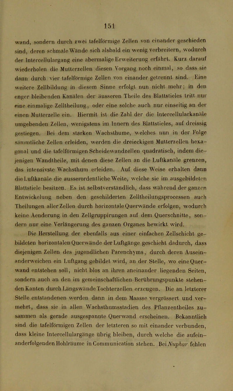 wand, sondern durch zwei tafelförmige Zellen von einander geschieden sind, deren schmale Wände sich alsbald ein wenig verbreitern, wodurch der Intercellulargang eine abermalige Erweiterung erfahrt. Kurz darauf wiederholen die Mutterzellen diesen Vorgang noch einmal, so dass sie dann durch vier tafelförmige Zellen von einander getrennt sind. Eino weitere Zellbildung in diesem Sinne erfolgt nun nicht mehr; in den enger bleibenden Kanälen der äusseren Theile des Blattstieles tritt nur eine einmalige Zelltheilung, oder eine solche auch nur einseitig an der einen Mutterzelle ein. Hiermit ist die Zahl der die Intercellularkanäle umgebenden Zellen, wenigstens im Innern des Blattstieles, auf dreissig gestiegen. Bei dem starken Wachsthume, welches nun in der Folge sämmtliche Zellen erleiden, werden die dreieckigen Multerzellen hexa- gonal und die tafelförmigen Scheidewandzellen quadratisch, indem die- jenigen Wandlheile, mit denen diese Zellen an die Luftkanäle grenzen, das intensivste Wachsthum erleiden. Auf diese Weise erhalten dann die Luftkanäle die ausserordentliche Weite, welche sie im ausgebildeton Blattstiele besitzen. Es ist selbstverständlich, dass während der ganzen Entwickelung neben den geschilderten Zelltheilungsprocessen auch Theilungen aller Zellen durch horizontale Querwände erfolgen, wodurch keine Aenderung in den Zellgruppirungen auf dem Querschnitte, son- dern nur eine Verlängerung des ganzen Organes bewirkt wird. Die Herstellung der ebenfalls aus einer einfachen Zellschicht ge- bildeten horizontalen Querwände der Luftgänge geschieht dadurch, dass diejenigen Zellen des jugendlichen Parenchyms, durch deren Ausein- andenveichen ein Luftgang gebildet wird, an der Stelle, wo eine Quer- wand entstehen soll, nicht blos an ihren aneinander liegenden Seiten, sondern auch an den im gemeinschaftlichen Berührungspunkte stehen- den Kanten durch Längswände Tochterzellen erzeugen. Die an letzterer Stelle entstandenen werden dann in dem Maasse vergrössert und ver- mehrt, dass sie in allen Wachsthumsstadien des Pflanzentheiles zu- sammen als gerade ausgespannte Querwand erscheinen. Bekanntlich sind die tafelförmigen Zellen der letzteren so mit einander verbunden, dass kleine Intercellulargänge übrig bleiben, durch welche die aufein- anderfolgenden Hohlräume in Communication stehen. Bei Nuphar fehlen