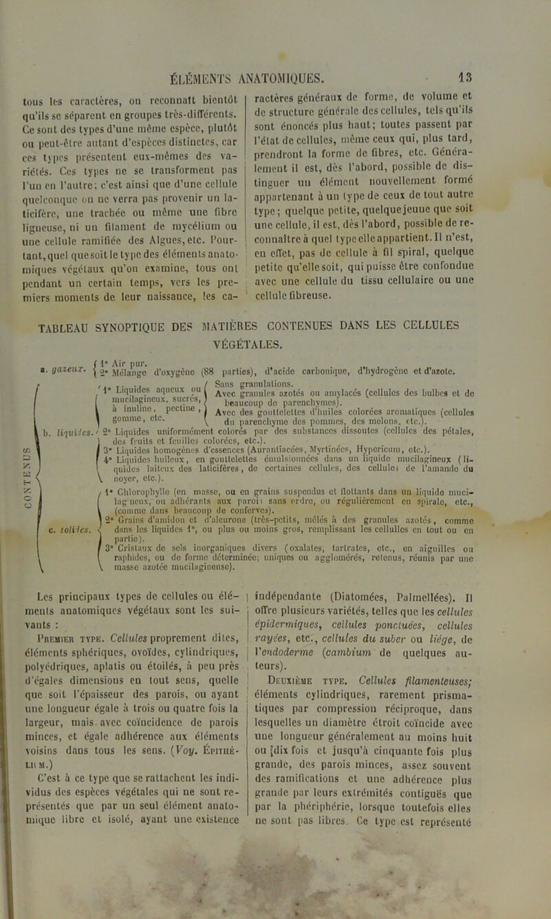 tous les caractères, on reconnaît bientôt qu’ils sc séparent en groupes très-différents. Ce sont des types d’une même espèce, plutôt ou peut-être autant d’espèces distinctes, car ces types présentent eux-mêmes des va- riétés. Ces types ne se transforment pas l’un on l'autre; c’est ainsi que d’une cellule quelconque on uc verra pas provenir un la- ticifèrc, une trachée ou même une libre ligueuse, ni un filament de mycélium ou une cellule ramifiée des Algues, etc. Pour- tant,quel quesoit le type des éléments anato- miques végétaux qu’on examine, tous ont pendant un certain temps, vers les pre- miers moments de leur naissance, les ca- ractères généraux de forme, de volume et de structure générale des cellules, tels qu'ils sont énoncés plus haut; toutes passent par l’état de cellules, môme ceux qui, plus tard, prendront la forme de fibres, etc. Généra- lement il est, dès l'abord, possible de dis- tinguer un élément nouvellement formé appartenant à un type de ceux de tout autre type; quelque petite, quelquejeuue que soit une cellule, il est, dès l’abord, possible de re- connaître à quel lypcelleappartient.il n’est, en effet, pas de cellule à fil spiral, quelque petite qu’ellcsoit, qui puisse être confondue avec une cellule du tissu cellulaire ou une ' cellule fibreuse. TABLEAU SYNOPTIQUE DES MATIÈRES CONTENUES DANS LES CELLULES VÉGÉTALES. a. gazeux. f 1* Air pur. ( 2* Mélange d’oxygène (88 parties), d'acide carbonique, d hydrogène et dazote. en 3 'f. H vn o O M* liquides.' 2 (des fruits et feuilles colorées, etc.). 3 Liquides homogènes d'essences (Auranlincees, Myrtinécs, Hypericmu, etc.). ■I” Liquides huileux, en gouttelettes émulsionnées dans un liquide mucilagineux (li- quides laiteux des laticifères, de certaines cellules, des cellules de l'amande du noyer, etc.). 11* Chlorophylle (en niasse, ou en grains suspendus et llollants dans un liquide inuci- lag ncux, ou adhérants aux paroii sans ordre, ou régulièrement en spirale, etc., (comme dans hraucoup de confcrvcs). 2* Groins d'amidon et d'alcuronc (très-petits, mêlés à des granules azotés, comme lomto. -, dans les liquides 1“, ou plus ou moins gros, remplissant les cellullcs en tout ou en j parlic). / 3' Cristaux de sels inorganiques divers (oxalatcs, larlratès, etc., en aiguilles ou I raphides, ou de forme déterminée; uniques ou agglomérés, retenus, réunis par une V masse azotée mucilagineuse). .... / Sans granulations. Liquides aqueux ou i ^vec r-raiiulcs azotés ou amylacés (cellules des bulbes et do mucilagineux, sucres, 1 l,eaJCoup de parenchymes). a inulmc. pectine , 1 ^vcc (ies gouttelettes d’huiles colorées aromatiques (cellules gomme, etc. ^ du parenchyme des pommes, des melons, etc.). Liquides uniformément colorés par des substances dissoutes (cellules des pétales, Les principaux types de cellules ou élé- ments anatomiques végétaux sont les sui- vants : Premier type. Cellules proprement dites, éléments sphériques, ovoïdes, cylindriques, polyédriques, aplatis ou étoilés, à peu près d’égales dimensions en tout sens, quelle que soit l’épaisseur des parois, ou ayant une longueur égale à trois ou quatre fois la largeur, mais, avec coïncidence de parois minces, et égale adhérence aux éléments voisins dans tous les sens. (Voy. Épitiié- Lll M.) C’est à ce type que sc rattachent les indi- vidus des espèces végétales qui ne sont re- présentés que par un seul élément anato- mique libre cl isolé, ayant une existence indépendante (Diatomées, Pulmellées). Il offre plusieurs variétés, telles que les cellules épidermiques, cellules ponctuées, cellules rayées, etc., cellules du suber ou liège, de l'endoderme (cambium de quelques au- teurs). Deuxième type. Cellules filamenteuses; éléments cylindriques, rarement prisma- tiques par compression réciproque, dans lesquelles un diamètre étroit coïncide avec uue longueur généralement au moins huit ou [dix fois et jusqu’à cinquante fois plus grande, des parois minces, assez souvent des ramifications et une adhérence plus grande par leurs extrémités contiguës que par la phériphérie, lorsque toutefois elles ne sont pas libres. Ce type est représenté