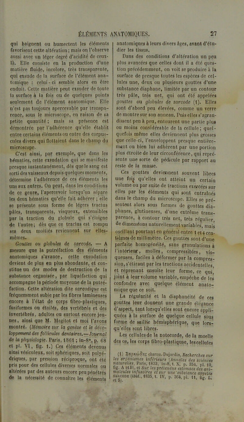 qui baignent ou humectent les éléments favorisent cette altération ; mais on l’observe aussi avec un léger degré d’acidité de ceux- là. Elle consiste en la production d’une matière fluide, incolore, très transparente, qui exsude de la surface de l'élément ana- tomique : celui - ci semble alors en être enduit. Cette matière peut exsuder de toute la surface à la fois ou de quelques points seulement de l’élément anatomique. Elle n’est pas toujours aperccvable par transpa- rence, sous le microscope, en raison de sa petite quantité ; mais sa présence est démontrée par l’adhérence qu’elle établit entre certains éléments ou entre des corpus- cules divers qui flottaient dans le champ du microscope. C’est ainsi, par exemple, que dans les hématies, cette exsudation qui se manifeste presque instantanément, dès que le sang est sorti des vaisseaux depuis quelques moments, détermine l'adhérence de ces éléments les uns aux autres. Ou peut, dans les conditions de ce genre, l’apercevoir lorsqu’on sépare les deux hématies qu’elle fait adhérer ; elle se présente sous forme de légers tractus pâles, transparents, visqueux, extensibles par la traction du globule qui s’éloigne de l’autre; dès que ce tractus est rompu scs deux moitiés reviennent sur elles- mêmes. Gouttes ou globules de sarcode. — A mesure que la putréfaction des éléments anatomiques s’avance, cette exsudation devient de plus en plus abondante, et con- stitue un des modes de destruction de la substance organisée, par liquéfaction qui accompagne la période moyenne de la putré- faction. Cette altération dite sarcodique est fréquemment subie par les fibres lamineuses encore à l’état de corps fibro-plastiques, fusiformes ou étoilés, des vertébrés et des invertébrés, adultes ou surtout encore jeu- nes, ainsi que M. Magitot et moi l’avons montré. (Mémoire sur la genèse et le déve- loppement des follicules dentaires.—Journal de la physiologie. Paris, 1861 ; in-8°, p. 68 et pl. VL, fig. l.) Ces éléments devenus ainsi vésiculeux, soit sphériques, soit polyé- driques, par pression réciproque, ont été pris pour des cellules diverses normales ou altérées par des auteurs encore peu pénétrés de la nécessité de connaître les éléments anatomiques à leurs divers âges, avant d’étu- dier les tissus. Dans des conditions d’altération un peu plus avancées que celles dont il a été ques- tion précédemment, on voit se produire à la surrace de presque toutes les espèces de cel- lules une, deux ou plusieurs gouttes d’une substance diaphane, limitée par un contour très pâle, très net, qui ont été appelées gouttes ou globules de sarcode (1). Elles sont d’abord peu élevées, comme un verre de montre sur son anneau. Puis elles s’agran- dissent peu à peu, entourent une partie plus ou moins considérable de la cellule; quel- quefois même elles deviennent plus grosses que celle-ci, l’enveloppent presque entière- ment ou bien lui adhèrent par une portion plus étroite de leur circonférence, qui repré- sente une sorte de pédicule par rapport au reste de la masse. Ces gouttes deviennent souvent libres uue foi£ qu’elles ont atteint uu certain volume ou par suite de tractions cxorcées sur elles par les éléments qui sont entraînés dans le champ du microscope. Elles se pré- sentent alors sous formes de gouttes dia- phanes, glutineuscs, d’une extrême trans- parence, à contour très net, très régulier de dimensions naturellement variables, mais oscillant pourtant en général entre 1 ct4 cen- tièmes de millimètre. Ces gouttes sont d’une parfaite homogénéité, sans granulations à l’intérieur, molles, compressibles, vis- queuses, faciles à déformer par la compres- sion, s’étirant par les tractions accidentelles et reprenant ensuite leur forme, ce qui, joint à leur volume variable, empêche de les confondre avec quelque élément anato- mique que ce soit. La régularité et la diapbanéité de ces gouttes leur donnent une grande élégance d’aspect, tant lorsqu’elles sout encore appli- quées à la surface de quelque cellule sous forme de saillie hémisphérique, que lors- qu’elles sont libres. Les cellules de la notocorde, de la moelle des os, les corps fibro-plastiquse, les cellules (I) Sscpxtooyjç charnu. Dujardin, Recherches sur les organismes inferieurs (Annales des sciences naturelles, Paris, 1833, in-8, t. X, p. 354, p] io fig. A ctB), et Sur les prétendus estomacs des ani- malcules infusoires et sur une'substance anvelée SAKCODB (iMd., 1835, t. IV, p. 364, Pl. U, fie L