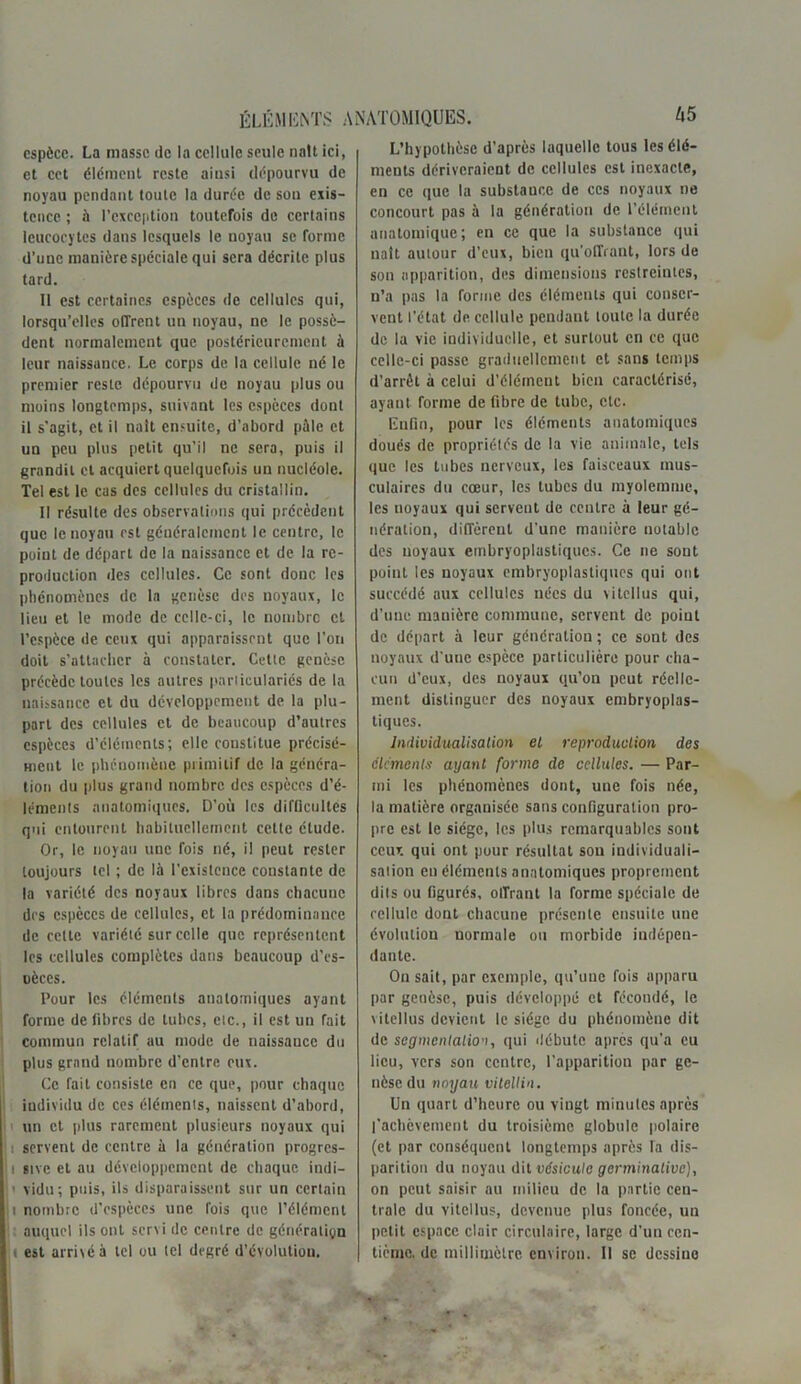 espèce. La masse de la cellule seule naît ici, et cet élément reste ainsi dépourvu de noyau pendant toute la durée de sou exis- tence ; à l’exception toutefois de certains leucocytes dans lesquels le noyau se forme d’uue manière spéciale qui sera décrite plus tard. Il est certaines espèces de cellules qui, lorsqu’elles offrent un noyau, ne le possè- dent normalement que postérieurement à leur naissance. Le corps de la cellule né le premier reste dépourvu de noyau plus ou moins longtemps, suivant les espèces dont il s’agit, et il naît ensuite, d’abord pâle et un peu plus petit qu’il ne sera, puis il grandit et acquiert quelquefois un nucléole. Tel est le cas des cellules du cristallin. Il résulte des observations qui précèdent que le noyau est généralement le centre, le point de départ de la naissance et de la re- production des cellules. Ce sont donc les phénomènes de la genèse des noyaux, le lieu et le mode de celle-ci, le nombre et l’espèce de ceux qui apparaissent que l’on doit s’attacher à constater. Cette genèse précède toutes les autres parliculariés de la naissance et du développement de la plu- part des cellules et de beaucoup d’autres espèces d’éléments; elle constitue précisé- ment le phénomène primitif de la généra- tion du plus grand nombre des espèces d’é- léments anatomiques. D’où les difficultés qui entourent habituellement celle étude. Or, le noyau une fois né, il peut rester toujours tel ; de là l’existence constante de la variété des noyaux libres dans chacune des espèces de cellules, et la prédominance de celte variété sur celle que représentent les cellules complètes dans beaucoup d’es- oèccs. Pour les éléments anatomiques ayant forme de fibres de tubes, etc., il est un Tait commun relatif au mode de naissance du plus grand nombre d’entre eux. Ce fait consiste en ce que, pour chaque individu de ces éléments, naissent d’abord, un et plus rarement plusieurs noyaux qui i servent de centre à la génération progres- i sivc et au développement de chaque iudi- ' vidu; puis, ils disparaissent sur un certain i nombre d’espèces une fois que l’élément auquel ils ont servi de centre de génération ;t est arrivé à tel ou tel degré d’évolutiou. L’hypothèse d’après laquelle tous les élé- ments dériveraient de cellules est inexacte, en ce que la substance de ces noyaux ne concourt pas à la génération de l’élément anatomique; en ce que la substance qui naît autour d’eux, bien qu’offrant, lors de son apparition, des dimensions restreintes, n’a pas la forme des éléments qui conser- vent l’état de cellule pendant toute la durée de la vie individuelle, et surtout en ce que celle-ci passe graduellement et sans temps d’arrêt à celui d’élément bien caractérisé, ayant forme de fibre de tube, etc. Enfin, pour les éléments anatomiques doués de propriétés de la vie animale, tels que les tubes nerveux, les faisceaux mus- culaires du cœur, les tubes du myolemme, les noyaux qui servent de centre à leur gé- nération, diffèrent d'une manière notable des noyaux embryoplastiqucs. Ce ne sont point les noyaux embryoplastiqucs qui ont succédé aux cellules nées du viteilus qui, d’une manière commune, servent de point de départ à leur génération ; ce sont des noyaux d'une espèce particulière pour cha- cun d’eux, des noyaux qu’on peut réelle- ment distinguer des noyaux embryoplas- tiques. Individualisation el reproduction des cléments ayant forme de cellules. — Par- mi les phénomènes dont, une fois née, la matière organisée sans configuration pro- pre est le siège, les plus remarquables sont ceux qui ont pour résultat sou individuali- sation en éléments anatomiques proprement dits ou figurés, offrant la forme spéciale de cellule dont chacune présente ensuite une évolution normale ou morbide indépen- dante. On sait, par exemple, qu’une fois apparu par genèse, puis développé et fécondé, le viteilus devient le siège du phénomène dit de segmentation, qui débute apres qu'a eu lieu, vers son centre, l’apparition par ge- nèse du noyau vitellin. Un quart d’heure ou vingt minutes après l'achèvement du troisième globule polaire (et par conséquent longtemps après la dis- parition du noyau dit vésicule germinative), on peut saisir au milieu de la partie cen- trale du viteilus, devenue plus foncée, un petit espace clair circulaire, large d’un cen- tième. de millimètre environ. Il se dessine