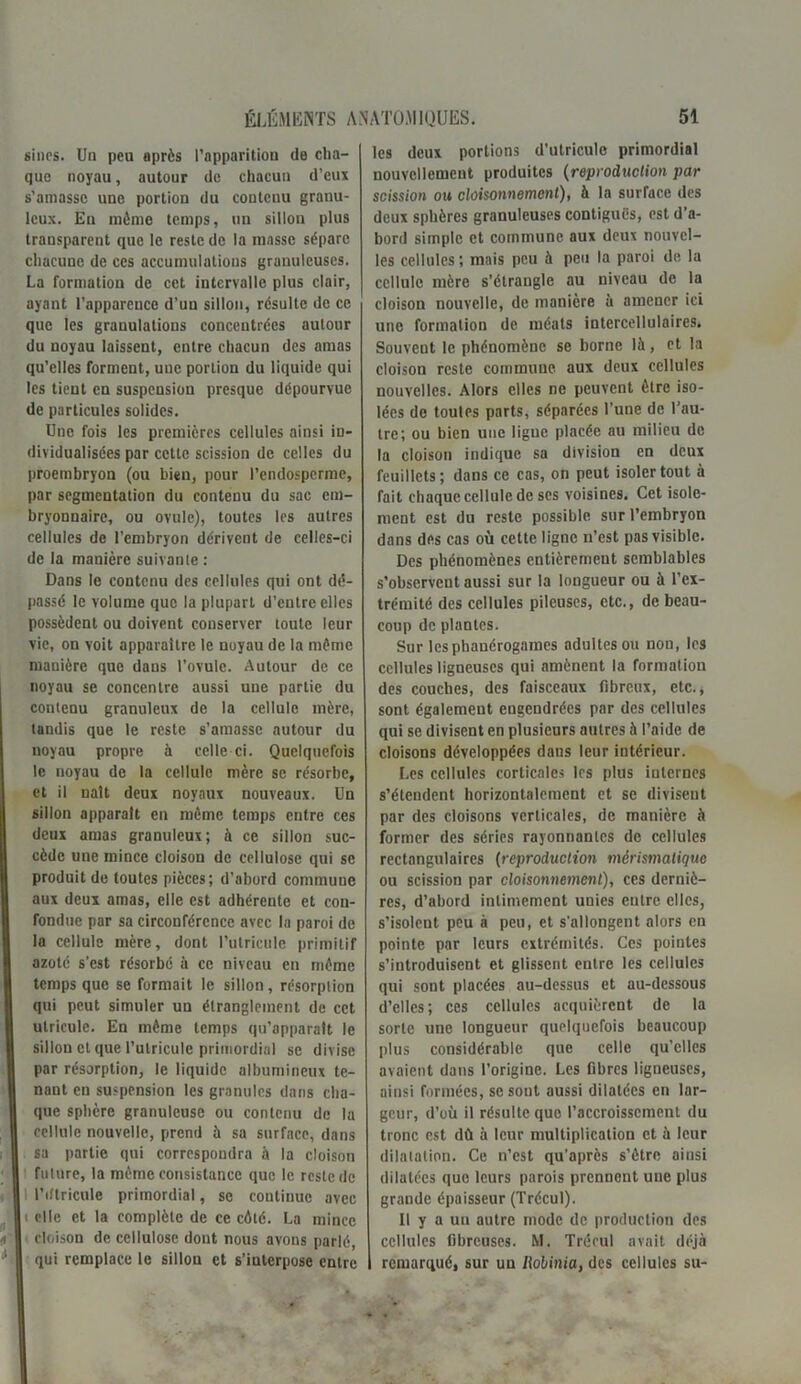 sines. Un peu après l’apparition de cha- que noyau, autour de chacun d’eux s’amasse une portion du contenu granu- leux. En môme temps, un sillon plus transparent que le reste de la masse sépare chacune de ces accumulations granuleuses. La formation de cet intervalle plus clair, ayant l’apparence d’un sillon, résulte de ce que les granulations concentrées autour du noyau laissent, entre chacun des amas qu’elles forment, une portion du liquide qui les tient en suspension presque dépourvue de particules solides. Une fois les premières cellules ainsi in- dividualisées par cette scission de celles du proembryon (ou bien, pour l’endospcrme, par segmentation du contenu du sac em- bryonnaire, ou ovule), toutes les autres cellules de l’embryon dérivent de celles-ci de la manière suivante : Dans le contenu des cellules qui ont dé- passé le volume que la plupart d’entre elles possèdent ou doivent conserver toute leur vie, on voit apparaître le noyau de la même manière que dans l’ovule. Autour de ce noyau se concentre aussi une partie du contenu granuleux de la cellule mère, tandis que le reste s’amasse autour du noyau propre à celle ci. Quelquefois le noyau de la cellule mère se résorbe, et il naît deux noyaux nouveaux. Un sillon apparaît en même temps entre ces deux amas granuleux; à ce sillon suc- cède une mince cloison de cellulose qui se produit de toutes pièces; d’abord commune aux deux amas, elle est adhérente et con- fondue par sa circonférence avec la paroi de la cellule mère, dont l’utricule primitif azoté s’est résorbé à ce niveau en môme temps que se formait le sillon, résorption qui peut simuler un étranglement de cet utricule. En môme temps qu’apparalt le sillon cl que l’utricule primordial se divise par résorption, le liquide albumineux te- nant en suspension les granules dans cha- que sphère granuleuse ou contenu de la cellule nouvelle, prend à sa surface, dans sa partie qui correspondra à la cloison future, la même consistance que le reste de I l’dtricule primordial, se continue avec i elle et la complète de ce côté. La mince cloison de cellulose dont nous avons parlé, qui remplace le sillon et s’interpose entre les deux portions d’utriculc primordial nouvellement produites (reproduction par scission ou cloisonnement), à la surrace des deux sphères granuleuses contiguës, est d’a- bord simple et commune aux deux nouvel- les cellules ; mais peu à peu la paroi de la cellule mère s’étrangle au niveau de la cloison nouvelle, de manière à amener ici une formation de méats intercellulaires. Souvent le phénomène se borne là, et la cloison reste commune aux deux cellules nouvelles. Alors elles ne peuvent être iso- lées do toutes parts, séparées l’une de l’au- tre; ou bien une ligue placée au milieu de la cloison indique sa division en deux feuillets; dans ce cas, on peut isoler tout à fait chaque cellule de ses voisines. Cet isole- ment est du reste possible sur l’embryon dans des cas où cette ligne n’est pas visible. Des phénomènes entièrement semblables s’observent aussi sur la longueur ou à l’ex- trémité des cellules pileuses, etc., de beau- coup de plantes. Sur les phanérogames adultes ou non, les cellules ligneuses qui amènent la formation des couches, des faisceaux fibreux, etc., sont également engendrées par des cellules qui se divisent en plusieurs autres à l’aide de cloisons développées daus leur intérieur. Les cellules corticales les plus internes s’étendent horizontalement et se divisent par des cloisons verticales, de manière à former des séries rayonnantes de cellules rectangulaires (reproduction mérismalique ou scission par cloisonnement), ces derniè- res, d’abord intimement unies entre elles, s’isolent peu à peu, et s'allongent alors en pointe par leurs extrémités. Ces pointes s’introduisent et glissent entre les cellules qui sont placées au-dessus et au-dessous d’elles; ces cellules acquièrent de la sorte une longueur quelquefois beaucoup plus considérable que celle qu’elles avaient dans l’origine. Les fibres ligneuses, ainsi formées, se sont aussi dilatées en lar- geur, d’où il résulte que l’accroissement du tronc est dû à leur multiplication et à leur dilatation. Ce n’est qu’après s’ètre aiusi dilatées que leurs parois prennent une plus grande épaisseur (Trécul). Il y a un autre mode de production des cellules fibreuses. M. Trécul avait déjà remarqué, sur un Iiobinia, des cellules su-