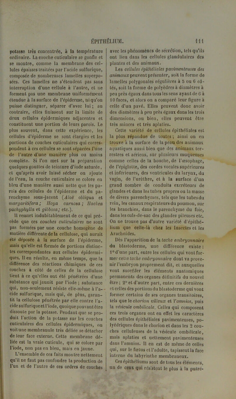 potasse très concentrée, à la température ordinaire. La couche cuticulaire se gonfle et se montre, comme la membrane des cel- lules épaisses traitées par l’acide sulfurique, composée de nombreuses lamelles superpo- sées. Ces lamelles no s’éteudent pas sans interruption d’uue cellule à l’autre, et ne forment pas une membrane uniformément étendue à la surface de l’épiderme, ui qu’on puisse distinguer, séparer d’avec lui; au contraire, elles finissent sur la limite de deux cellules épidermiques adjacentes et constituent une portion de leurs parois. Le plus souvent, dans cette expérience, les cellules d’épiderme se sont élargies et les portions de couches cuticulaircs qui corres- pondent à ces cellules se sont séparées l’une de l’autre d’une manière plus ou moins complète. Si l’on met sur la préparation quelques gouttes de teinture d’iode saturée, et qu’après avoir laissé sécher on ajoute de l’eau, la couche cuticulaire se colore en bleu d’une mauière aussi nette que les pa- rois des cellules de l’épiderme et du pa- renchyme sous-jacent {Aloë obliqua et margarilifera ; Uoya carnosa ; Hackea pachyphylla et gibbosa; etc.). 11 ressort indubitablement de ce qui pré- cède que ces couches culiculaires ne sont pas formées par une couche homogène de matière différente de la cellulose, qui aurait été déposée à la surface de l’épiderme, mais qu’elle est formée de portions distinc- tes correspondantes aux cellules épidermi- ques. Il en résulte, en môme temps, que la différence des réactions chimiques de ces couches à côté de celles de la cellulose lient à ce qu’elles ont été pénétrées d’une substance qui jaunit par l’iode ; substance qui, non-seulement résiste elle-même à l’a- cide sulfurique, mais qui, de plus, garan- tit la cellulose pénétrée par elle contre l'a- cide sulfuriqueet l’iode, quoique pouvant être dissoute par la potasse. Peudautquc se pro- duit l’action de la potasse sur les couches culiculaires des cellules épidermiques, ou voitune mcmbranule très déliée se détacher de leur face externe. Cette membrane dé- liée est la vraie cuticule, qui se colore par l’iode, non pas en bleu, mais en jaune. L’ensemble de ces faits montre nettement qu’il ne faut pas confondre la production de l’un et de l’autre de ces ordres de couches avec les phénomènes de sécrétion, tels qu’ils ont lieu dans les cellules glandulaires des plantes et des animaux. Les cellules épithéliales pavimenleuses des animaux peuvent présenter, soit la forme de lamelles polygonales régulières à 5 ou 6 cô- tés, soit la forme de polyèdres à diamètres à peu près égaux dans tous les sens ayant de G à 10 faces, et alors ou a comparé leur figure à celle d’un pavé. Elles peuvent donc avoir des diamètres à peu près égaux dans les trois dimensions, ou bien, elles peuvent être très minces et très aplaties. Cette variété de cellules épithéliales est la plus répandue de toutes ; ainsi on en trouve à la surface de la peau des animaux aquatiques aussi bien que des animaux ter- restres et aériens, sur plusieurs muqueuses comme celles de la bouche, de l’oesophage, de l’épiglotte, des cordes vocales supérieures et inférieures, des ventricules du larynx, du vagin, de l’urètbre, et à la surface d’un grand nombre de conduits excréteurs de glandes et daus les tubes propres ou la masse de divers parenchymes, tels que les tubes du rein, les canaux respirateurs du poumon, sur les branchies, daus le parenchyme du foie, dans les culs-de-sac des glandes pileuses etc. On ue trouve pas d’autre variété d'épithé- lium que celle-là chez les Insectes et les Arachnides. Dès l’apparition de la tache embryonnaire du blastoderme, une différence existe : 1° d'une part, entre les cellules qui vont for- mer cette tache embryonnaire dont va prove- nir l’embryon proprement dit, et auxquelles vont succéder les éléments anatomiques permanents des organes définitifs du nouvel être; 2“ et d’autre part, entre ces dernières et celles des portions du blastoderme qui vont former certains de ses orgaues transitoires, tels que le chorion villeux et Yamnios, puis la vésicule ombilicale. Celles qui composent ces trois organes ont en effet les caractères des cellules épithéliales pavimenleuses, po- lyédriques dans le chorion et dans les 2 cou- ches celluleuses de la vésicule ombilicale, mais aplaties et nettement pavimentcuses dans l’amnios. 11 en est de même de celles qui, sur le fœtus et l’adulte, tapissent la face interne du labyrinthe membraneux. Ces épithéliums sont de tous les éléments, un de ceux qui rés;steut le plus à la putré-