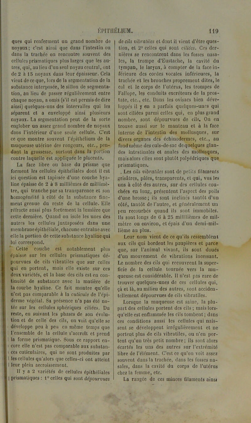 ques qui renferment un grand nombre de noyaux; c’est ainsi que dans l’intestin ou dans la trachée on rencontre souvent des cellules prismatiques plus larges que les au- tres, qui, au lieu d’un seul noyau ceutral, ont de 2 à 15 noyaux dans leur épaisseur. Cela vient de ce que, lors de la segmentation de la substance interposée, le sillon de segmenta- tion, an lieu de passer régulièrement entre chaque noyau, a omis (s’il est permis de dire ainsi) quelques-uns des intervalles qui les séparent et a enveloppé ainsi plusieurs noyaux. La segmeulation peut de la sorte englober un assez grand nombre de noyaux dans l’intérieur d’une seule cellule. C’est ce que montre souvent l’épithélium de la muqueuse utérine des rongeurs, etc., pen- dant la grossesse, surtout dans la porüon contre laquelle est appliquée le placenta. La face libre ou base du prisme que formeut les cellules épithéliales dont il est ici question est tapissée d’une couche hya- line épaisse de 2 à 8 millièmes de millimè- tre, qui tranche par sa transparence et son homogénéité à côté de la substance fine- ment grenue du reste de la cellule. Elle réfracte aussi plus fortement la lumière que cette dernière. Quand on isole les unes des autres les cellules juxtaposées dans une mcmbraoeépithélialc, chacune entraîne avec elle la portion de cette substance hyaline qui lui correspond. Cette couche est notablement plus épaisse sur les cellules prismatiques dé- pourvues de cils vibratilcs que sur celles qui en portent, mais clic existe sur ces deux variétés, et la base des cils est en con- tinuité de substance avec la matière de la courbe hyaline. Ce fait montre qu’elle n’est pas comparable à la cuticule de l’épi- derme végétal. Sa présence n’a pas été no- tée sur les cellules sphériques ciliées. Du reste, en suivant les phases de sou évolu- tion et de celle des cils, on voit qu’elle se développe peu à peu en môme temps que l'ensemble de la cellule s’accroît et prend la forme prismatique. Sous ce rapport en- - corc elle n’est pas comparable aux substan- ces cuticulaires, qui ne sont produites par 1 les cellules qu’alors que celles-ci ont atteint I leur plein accroissement. II y a 2 variétés de cellules épithéliales I prismatiques : 1° celles qui sont dépourvues de cils vibratilcs et dont il vient d’ètrc ques- tion, et 2° celles qui sout ciliées. Ces der- nières se rencontrent dans les fosses nasa- les, la trompe d’Eustaclie, la cavité du tympan, le larynx, à compter de la face in- férieure des cordes vocales inférieures, la trachée et les bronches proprement dites, le col et le corps de l’utérus, les trompes de Fallope, les conduits excréteurs de la pros- tate, etc., etc. Dans les ovisacs bien déve- loppés il y eu a parfois quelques-unes qui sont ciliées parmi celles qui, en plus grand nombre, sont dépourvues de cils. On en trouve aussi sur le manteau et à la face interne de l’intestin des mollusques, sur divers organes des échiuodermes, etc., au fond môme des culs-de-sac de quelques glan- des intestinales et anales des mollusques, niaisalors elles sont plutôt polyédriques que prismatiques. Les cils vibratilcs sont de petils filaments grisâtres, pâles, transparents, et qui, vus les uns à côté des autres, sur des cellules cou- chées en long, présentent l’aspect des poils d’une brosse; ils sont inclinés tantôt d’un côté, tantôt de l’autre, et généralement un peu recourbés quand ils sont immobiles. Ils sont longs de 6 à 25 milllièmes de mil- mètre ou environ, et épais d'un demi-mil- lième au plus. Leur nom vient de ce qu’ils ressemblent aux cils qui bordent les paupières et parce que, sur l’animal vivant, ils sont doués d’un mouvement de vibrations incessant. Le nombre des cils qui recouvrent la super- ficie de la cellule tournée vers la mu- queuse est considérable. 11 n’est pas rare de trouver quelques-unes de ces cellules qui, çà et là, au milieu des autres, sont acciden- tellement dépourvues de cils vibratilcs. Lorsque la muqueuse est saine, la plu- part des cellules portent des cils ; mais lors- qu’elle est enflammée les cils tombent ; dans ces conditions aussi les cellules qui nais- sent se développent irrégulièrement et ne portent plus de cils vibratilcs, ou n’en por- tent qu’un très petit nombre; ils sont alors écartés les uns des autres sur l’extrémité libre de l’élément. C’est ce qu’on voit assez souvent dans la trachée, dans les fosses na- sales, dans la cavité du corps de l’utérus chez la femme, etc. La rangée de ces minces filaments ainsi