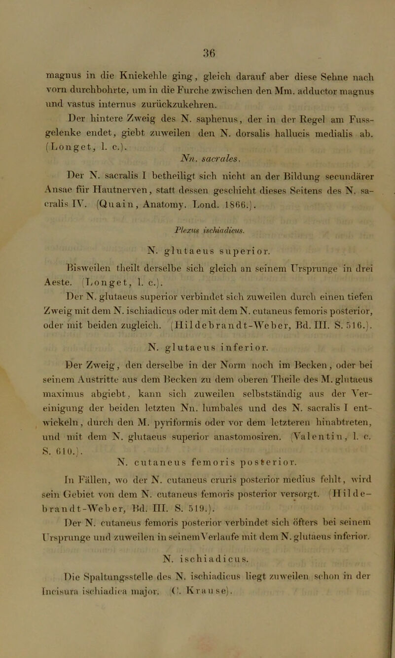 magnus in die Kniekehle ging, gleich darauf aber diese Sehne nach vorn durchbohrte, um in die Furche zwischen den Mm. adductor magnus und vastus internus zurückzukehren. Der hintere Zweig des N. saphenus, der in der Regel am Fuss- gelenke endet, giebt zuweilen den N. dorsalis hallucis medialis ah. (Longet, 1. e.). Nn. sacrales. Der N. sacralis 1 betheiligt sich nicht an der Bildung secundärer Ansae für Hautnerven, statt dessen geschieht dieses Seitens des N. sa- cralis TV. (Quai n , Anatoiny. Lond. 1866.). Plexus ischiadicus. N. glutaeus superior. Bisweilen tneilt derselbe sich gleich an seinem Ursprünge in drei Aeste. Longet, 1. c.). Der N. glutaeus superior verbindet sich zuweilen durch einen tiefen Zweig mit dem N. ischiadicus oder mit dem N. cutaneus femoris posterior, oder mit beiden zugleich. (Hildebrandt-Weber, Bd. III. S. 516.). N. glutaeus inferior. Der Zweig, den derselbe in der Norm noch im Becken, oder bei seinem Austritte aus dem Becken zu dem oberen Theile des M. glutaeus maximus abgiebt, kann sich zuweilen selbstständig aus der Ver- einigung der beiden letzten Nn. lumbales und des N. sacralis I ent- wickeln, durch den M. pyriformis oder vor dem letzteren hinabtreten, und mit dem N. glutaeus superior anastomosiren. (Valentin, 1. c. S. 610.). N. cutaneus femoris posterior. In Fällen, wo der N. cutaneus cruris posterior medius fehlt, wird sein Gebiet von dem N. cutaneus femoris posterior versorgt. H i 1 d e— brandt-Weber, Bd. III. S. 519.). Der N. cutaneus femoris posterior verbindet sich öfters bei seinem Ursprünge und zuweilen in seinem Verlaufe mit dem N. glutaeus inferior. N. ischiadicus. Die Spaltungsstelle des N. ischiadicus liegt zuweilen schon in der Incisura ischiadica major. ('. Krause).