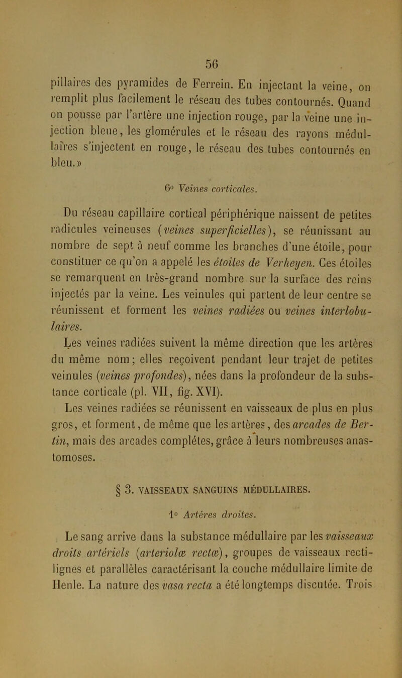 50 pi liai res des pyramides de Ferrein. En injectant la veine, on remplit plus facilement le réseau des tubes contournés. Quand on pousse par l’artère une injection rouge, par la veine une in- jection bleue, les glomérules et le réseau des rayons médul- laires s’injectent en rouge, le réseau des tubes contournés en bleu.» 0° Veines corticales. Du réseau capillaire cortical périphérique naissent de petites radicules veineuses (veines superficielles), se réunissant au nombre de sept à neuf comme les branches d’une étoile, pour constituer ce qu’on a appelé les étoiles de Verheyen. Ces étoiles se remarquent en très-grand nombre sur la surface des reins injectés par la veine. Les veinules qui partent de leur centre se réunissent et forment les veines radiées ou veines interlobu- laires. Les veines radiées suivent la même direction que les artères du même nom; elles reçoivent pendant leur trajet de petites veinules {veines profondes), nées dans la profondeur de la subs- tance corticale (pl. 'VU, fig. XVI). Les veines radiées se réunissent en vaisseaux de plus en plus gros, et forment, de môme que les artères, des arcades de Ber- * tin, mais des arcades complètes, grâce à leurs nombreuses anas- tomoses. § 3. VAISSEAUX SANGUINS MÉDULLAIRES. 1° Artères droites. Le sang arrive dans la substance médullaire par les vaisseaux droits artériels {arteriolœ récite), groupes de vaisseaux recti- lignes et parallèles caractérisant la couche médullaire limite de Ilenle. La nature des vasa recta a été longtemps discutée. Trois