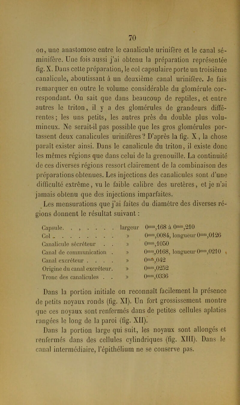 on, une anastomose entre le canalieule urinifère et le canal sé- minifère. Une fois aussi j’ai obtenu la préparation représentée fig. X. Dans cette préparation, le col capsulaire porte un troisième canalieule, aboutissant à un deuxième canal urinifère. Je fais remarquer en outre le volume considérable du glomérule cor- respondant. On sait que dans beaucoup de reptiles, et entre autres le triton, il y a des glomérules de grandeurs diffé- rentes; les uns petits, les autres près du double plus volu- mineux. Ne serait-il pas possible que les gros glomérules por- tassent deux canalicules urinifèresV D’après la fig. X, la chose paraît exister ainsi. Dans le canalieule du triton, il existe donc les mêmes régions que dans celui de la grenouille. La continuité de ces diverses régions ressort clairement de la combinaison des préparations obtenues. Les injections des canalicules sont d’une difficulté extrême, vu le faible calibre des uretères, et je n’ai jamais obtenu que des injections imparfaites. Les mensurations que j’ai faites du diamètre des diverses ré- gions donnent le résultat suivant : Capsule. ...... largeur 0mm,168 à 0mm,210 Col- » 0mm,0084, longueur 0mm,O126 Canalieule sécréteur . . » 0mm,1050 Canal de communication . » 0mm,01G8, longueur 0mnl,0210 , Canal excréteur .... » 0mrtl,042 Origine du canal excréteur. » 0mm,0252 Tronc des canalicules . . » 0mm,0336 Dans la portion initiale on reconnaît facilement la présence de petits noyaux ronds (fig. XI). Un fort grossissement montre que ces noyaux sont renfermés dans de petites cellules aplaties rangées le long de la paroi (fig. XII). Dans la portion large qui suit, les noyaux sont allongés et renfermés dans des cellules cylindriques (fig. XIII). Dans le canal intermédiaire, l’épithélium ne se conserve pas.