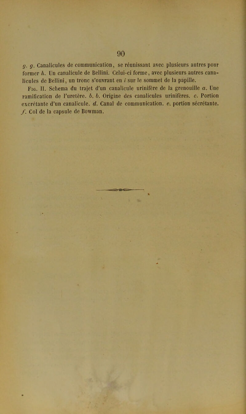 g. g. Canalicules de communication, se réunissant avec plusieurs autres pour former h. Un canalicule de Bellini. Celui-ci forme, avec plusieurs autres cana- licules de Bellini, un tronc s’ouvrant en i sur le sommet de la papille. Fig. II. Schéma du trajet d’un canalicule urinifère de la grenouille a. Une ramification de l’uretère, b. b. Origine des canalicules urinifères. c. Portion excrétante d’un canalicule. d. Canal de communication, e. portion sécrétante. /. Col de la capsule de Bovvman.