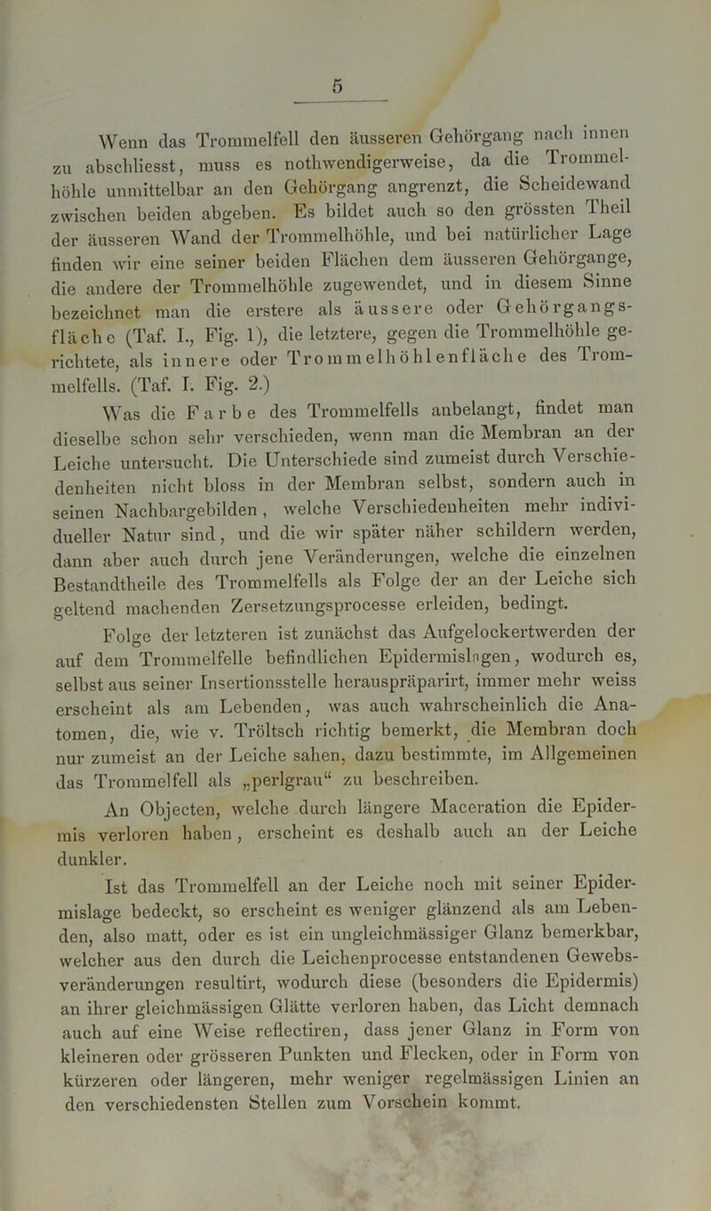 Wenn das Trommelfell den äusseren Gehörgang nach innen zu abschliesst, muss es nothwendigerweise, da die Trommel- höhle unmittelbar an den Gehörgang angrenzt, die Scheidewand zwischen beiden abgeben. Es bildet auch so den grössten Theil der äusseren Wand der Trommelhöhle, und bei natürlicher Lage finden wir eine seiner beiden Flächen dem äusseren Gehörgange, die andere der Trommelhöhle zugewendet, und in diesem Sinne bezeichnet man die erstere als äussere oder Gehörgang s- flächc (Taf. I., Fig. 1), die letztere, gegen die Trommelhöhle ge- richtete, als innere oder Trommelhöhlenfläche des Tiom- melfells. (Taf. I. Fig. 2.) Was die Farbe des Trommelfells anbelangt, findet man dieselbe schon sehr verschieden, wenn man die Membran an dei Leiche untersucht. Oie Unterschiede sind zumeist durch Verschie- denheiten nicht bloss in der Membran selbst, sondern auch in seinen Nachbargebilden , welche Verschiedenheiten mehr indivi- dueller Natur sind, und die wir später näher schildern werden, dann aber auch durch jene Veränderungen, welche die einzelnen Bestandtheile des Trommelfells als Folge der an der Leiche sich geltend machenden Zersetzungsprocesse erleiden, bedingt. Folge der letzteren ist zunächst das Aufgelockertwerden der auf dem Trommelfelle befindlichen Epidermislngen, wodurch es, selbst aus seiner Insertionsstelle herauspräparirt, immer mehr weiss erscheint als am Lebenden, was auch wahrscheinlich die Ana- tomen, die, wie v. Tröltsch richtig bemerkt, die Membran doch nur zumeist an der Leiche sahen, dazu bestimmte, im Allgemeinen das Trommelfell als „perlgrau“ zu beschreiben. An Objecten, welche durch längere Maceration die Epider- mis verloren haben, erscheint es deshalb auch an der Leiche dunkler. Ist das Trommelfell an der Leiche noch mit seiner Epider- mislage bedeckt, so erscheint es weniger glänzend als am Leben- den, also matt, oder es ist ein ungleichmässiger Glanz bemerkbar, welcher aus den durch die Leichenprocesse entstandenen Gewebs- veränderungen resultirt, wodurch diese (besonders die Epidermis) an ihrer gleichmässigen Glätte verloren haben, das Licht demnach auch auf eine Weise reflectiren, dass jener Glanz in Form von kleinei’en oder grösseren Punkten und Flecken, oder in Form von kürzeren oder längeren, mehr weniger regelmässigen Linien an den verschiedensten Stellen zum Vorschein kommt.